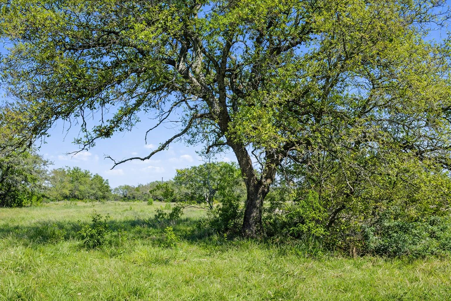 0 Lone Star Oak RNCH