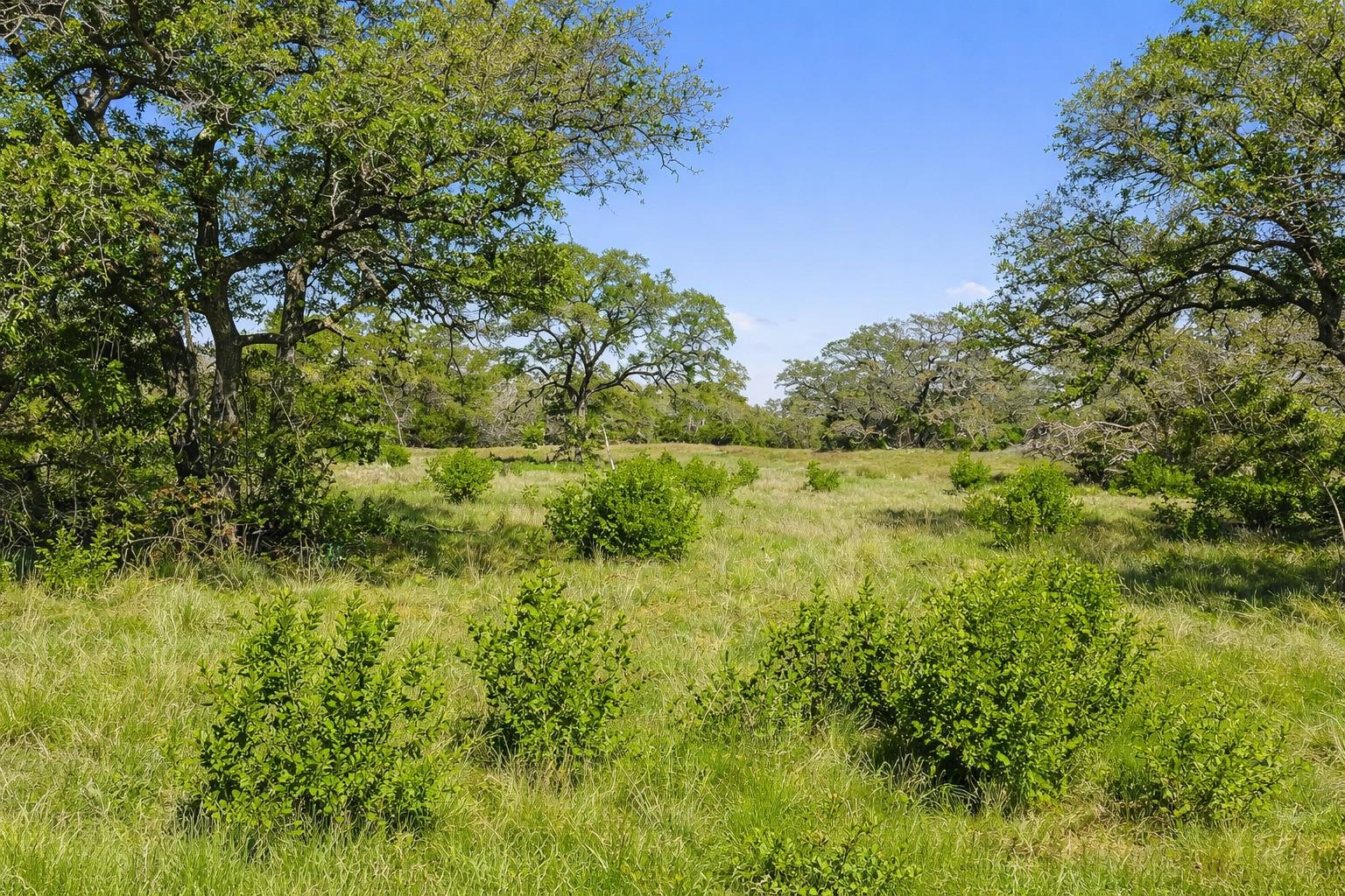 0 Lone Star Oak RNCH
