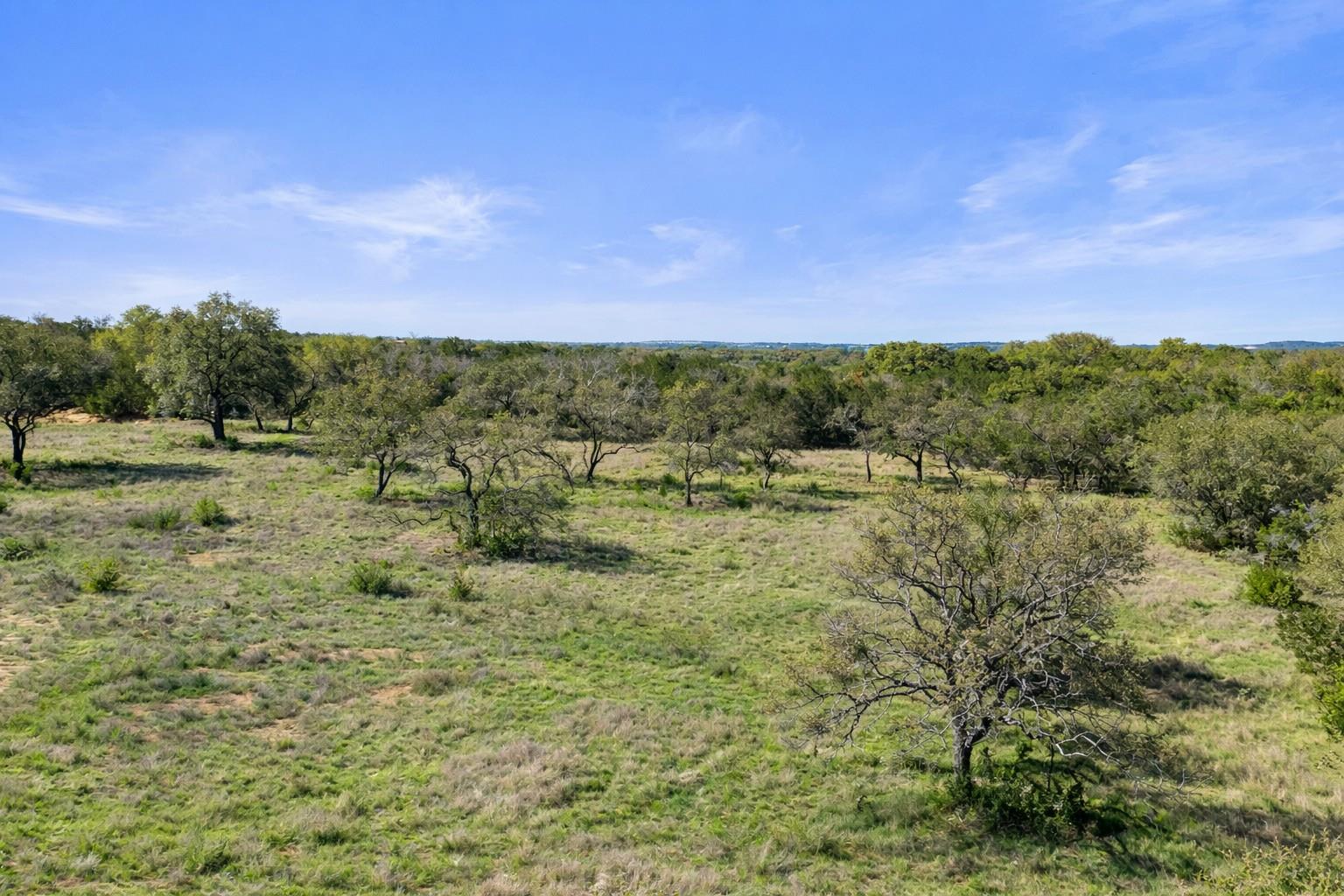 0 Lone Star Oak RNCH