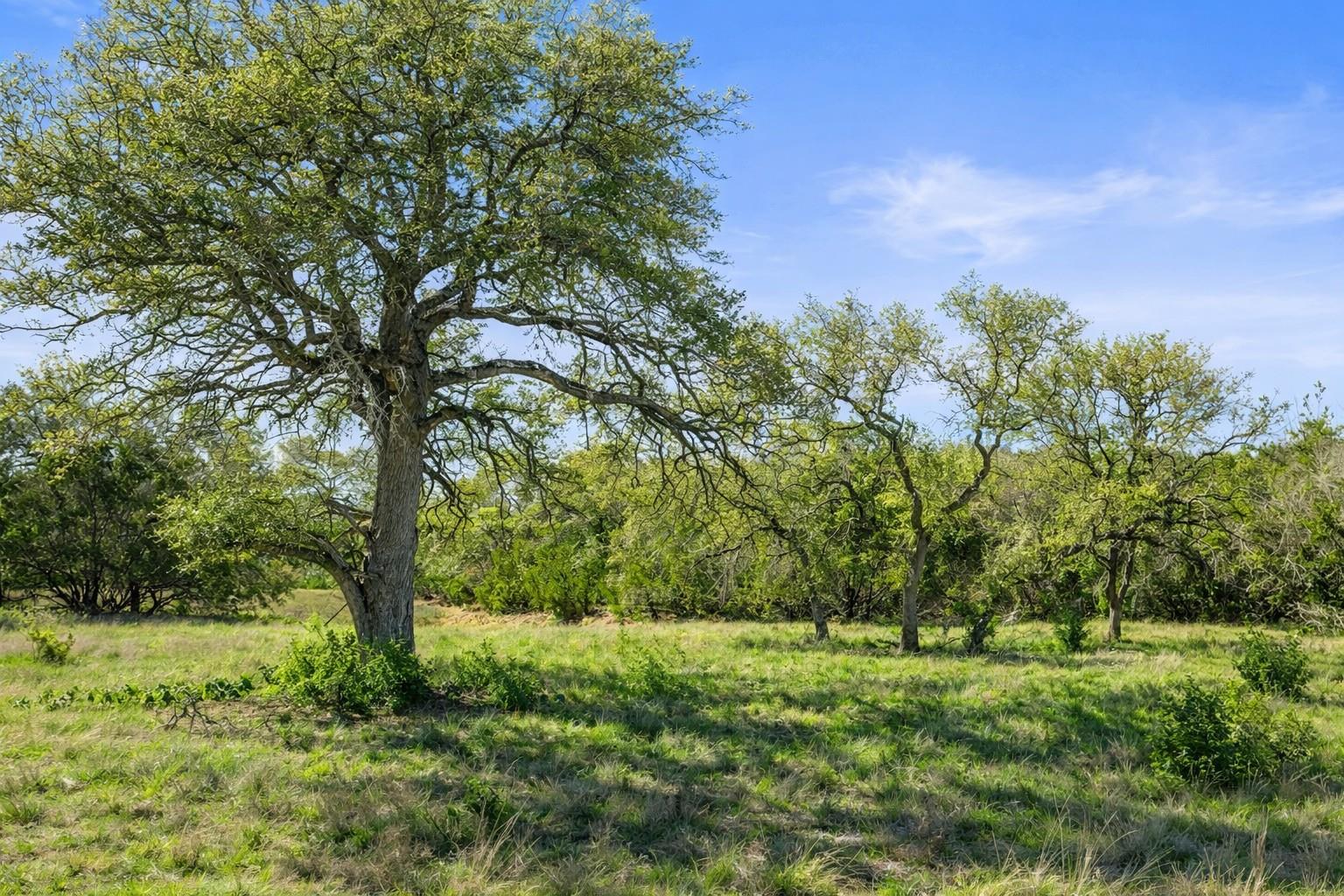 0 Lone Star Oak RNCH