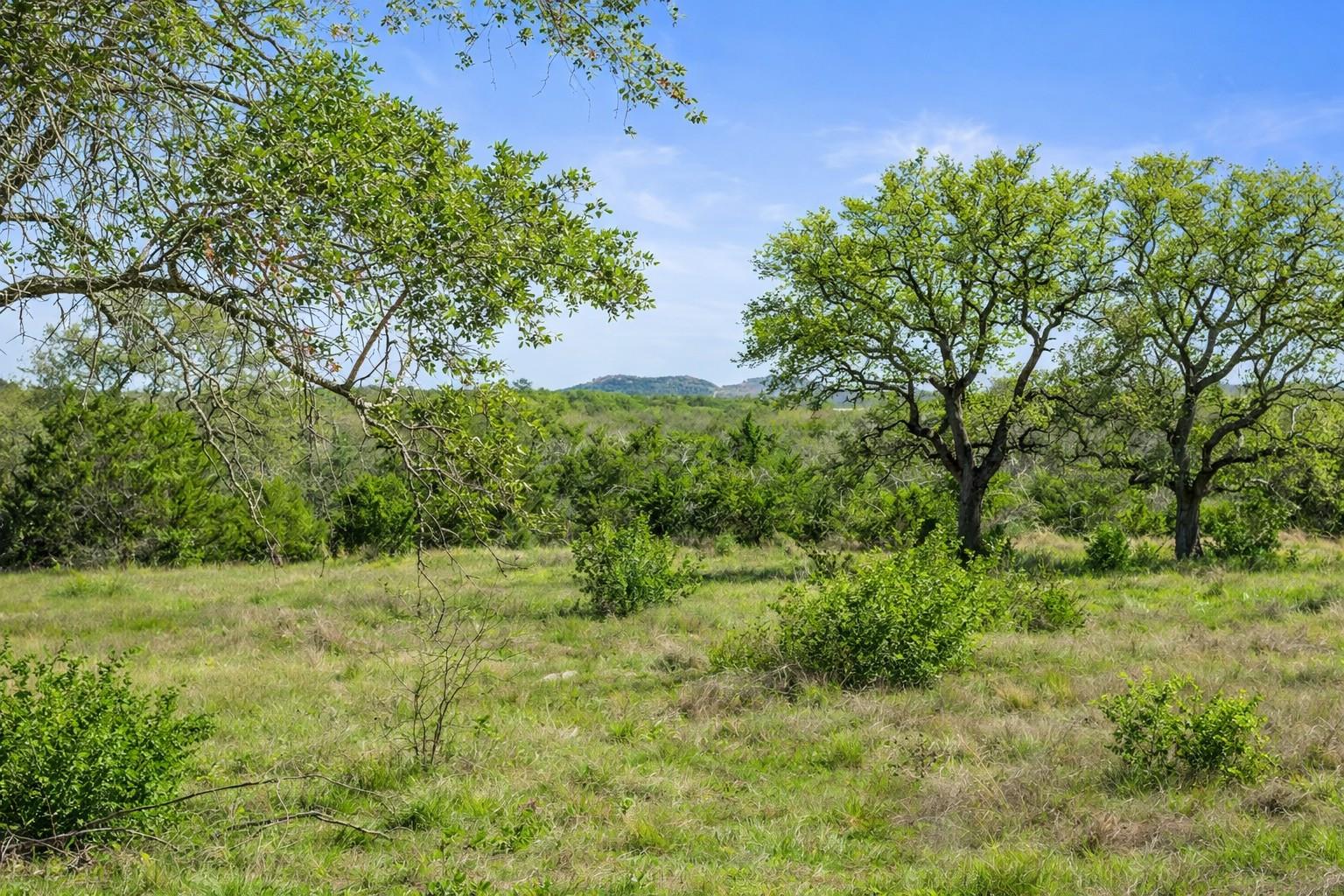 0 Lone Star Oak RNCH