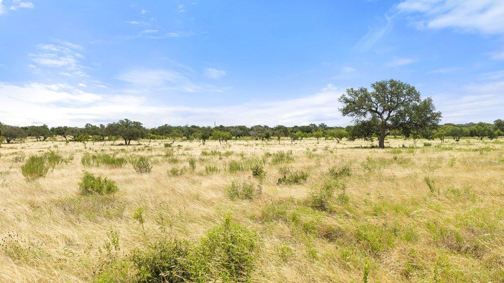 0 Golden Meadow