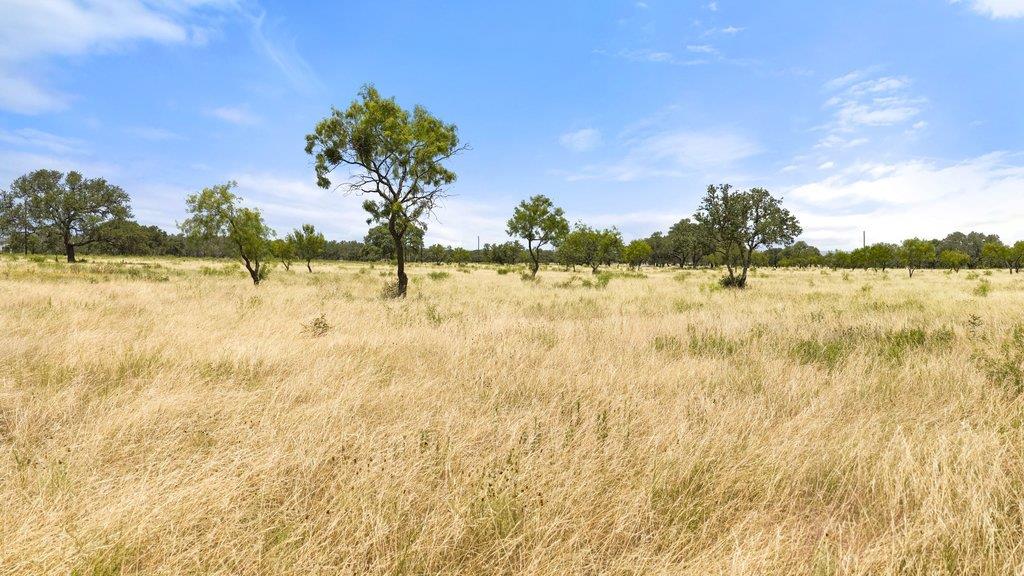 0 Golden Meadow