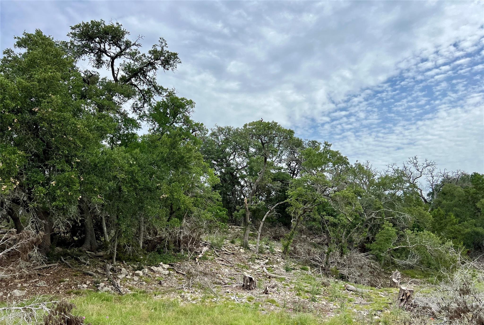 TBD Narrows RD