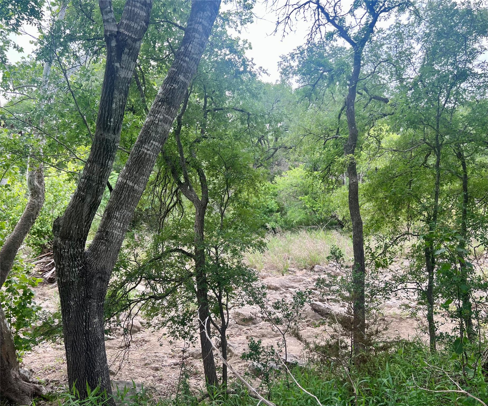 TBD Narrows RD