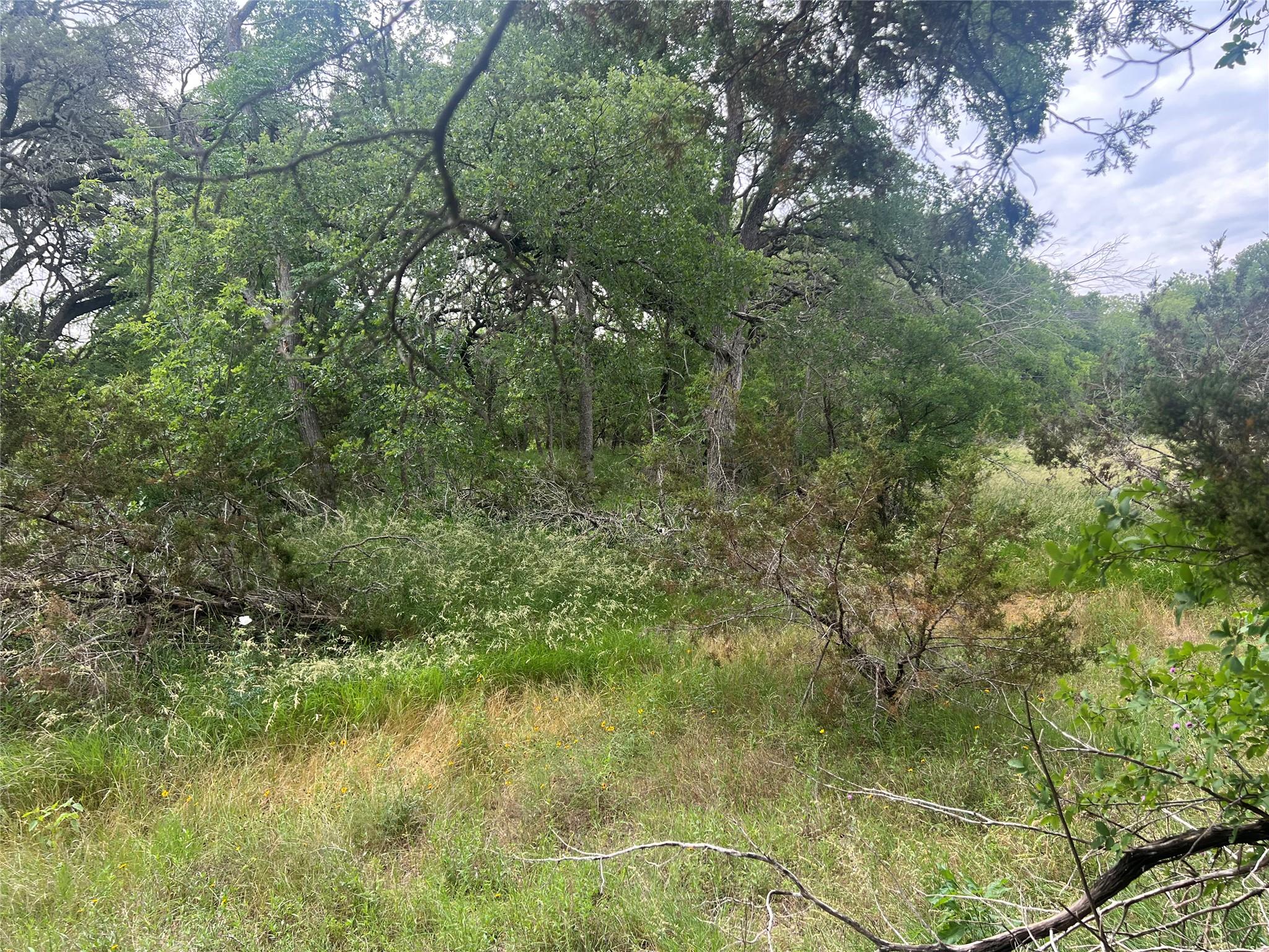 TBD Narrows RD
