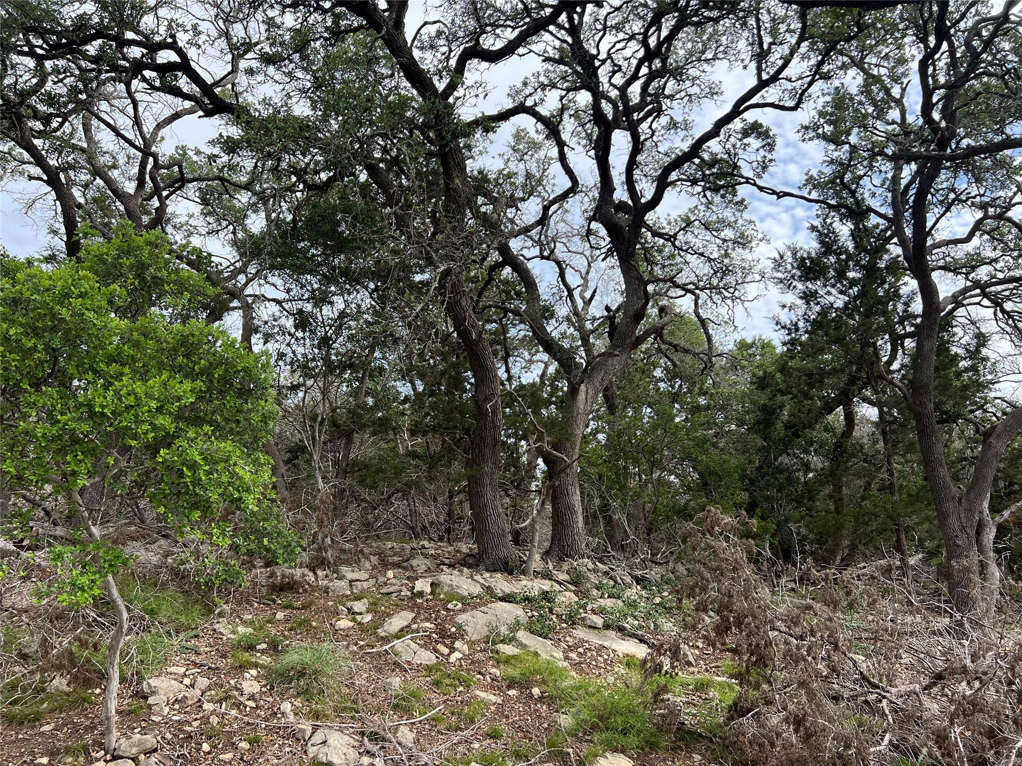 TBD Narrows RD