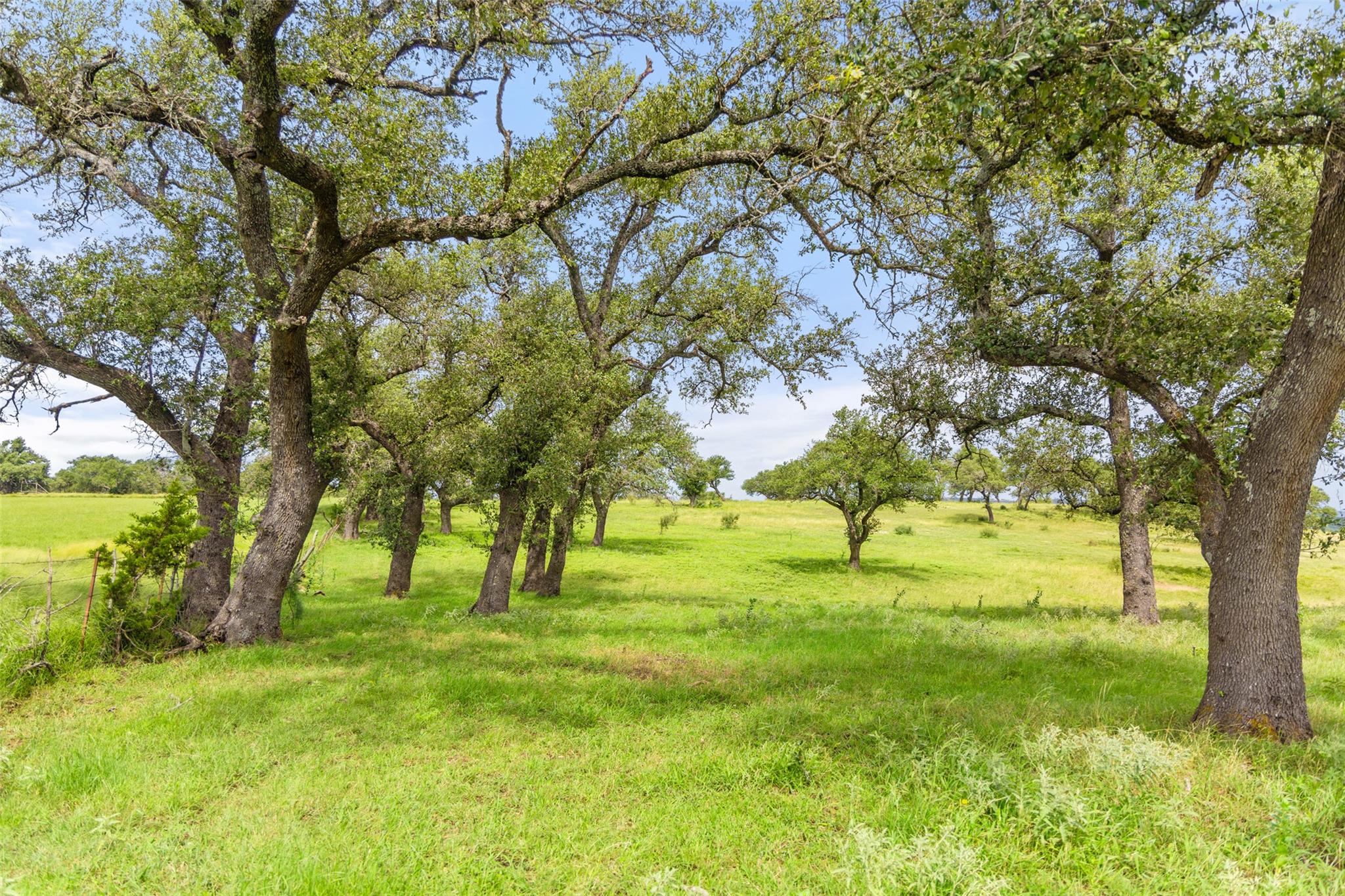 9069-86 Ranch Road 1323