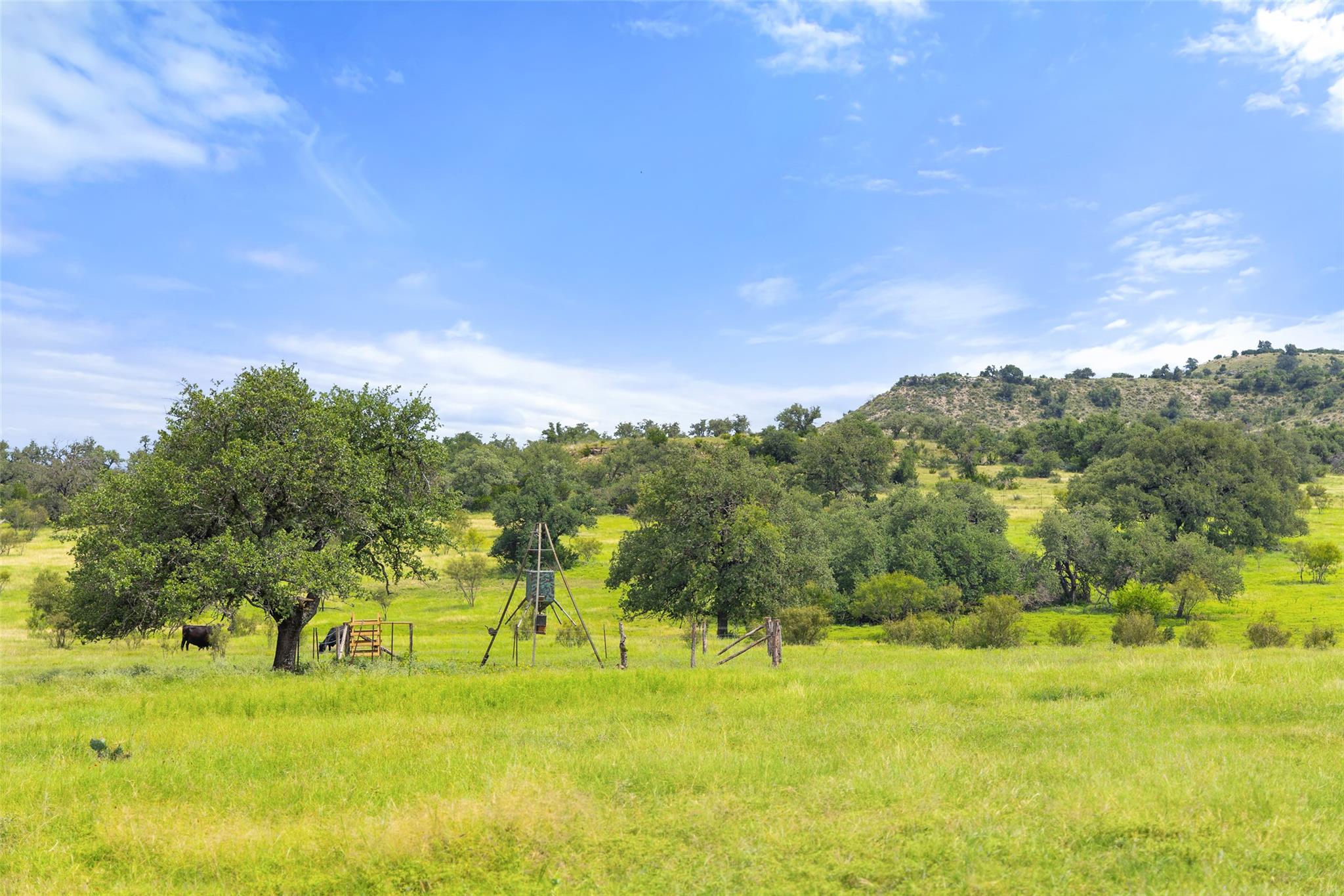 9069-86 Ranch Road 1323