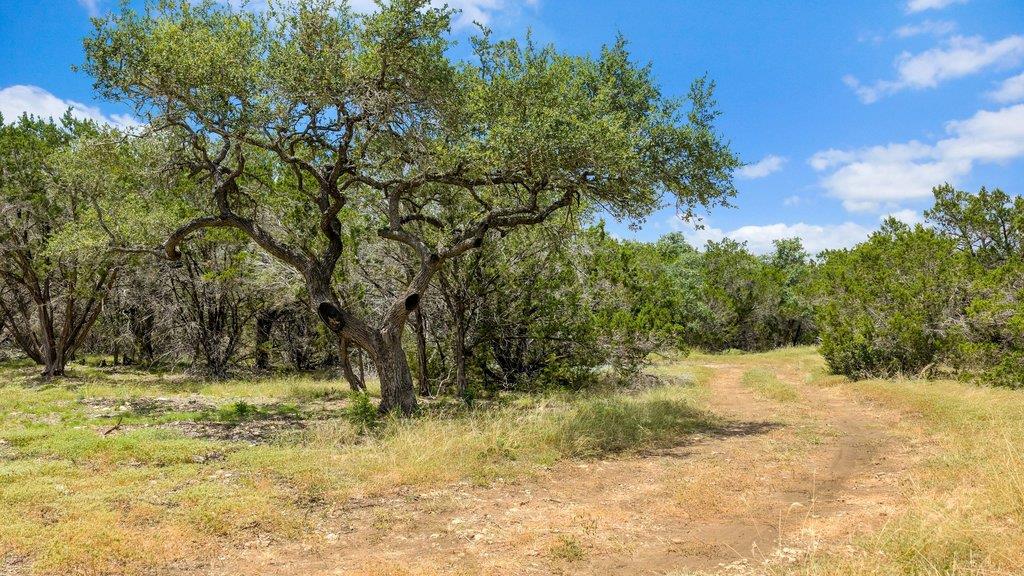 Tract 8 Cypress Cove RD