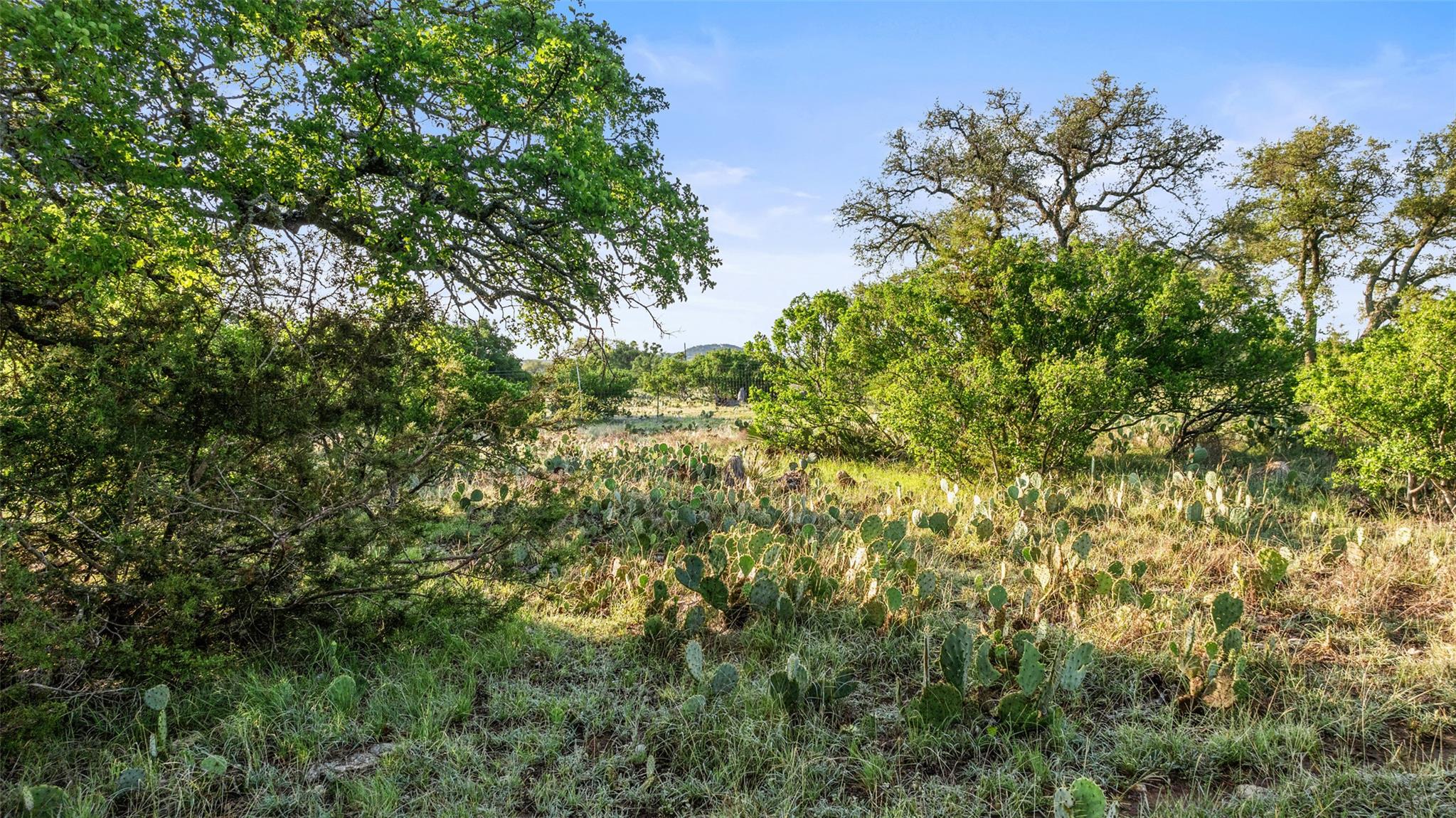 Lot 3 & 4 Vista Ridge DR