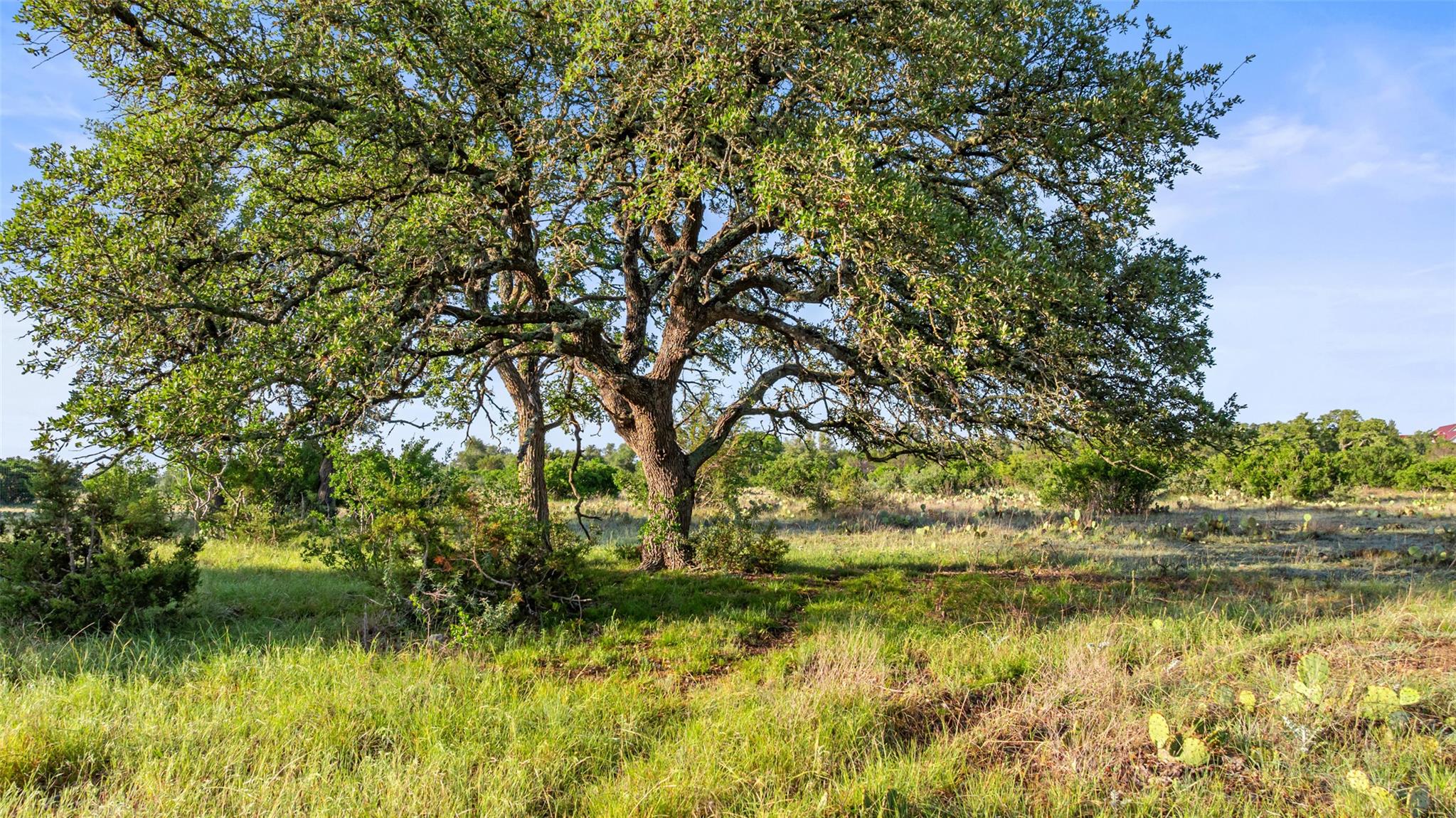 Lot 3 & 4 Vista Ridge DR