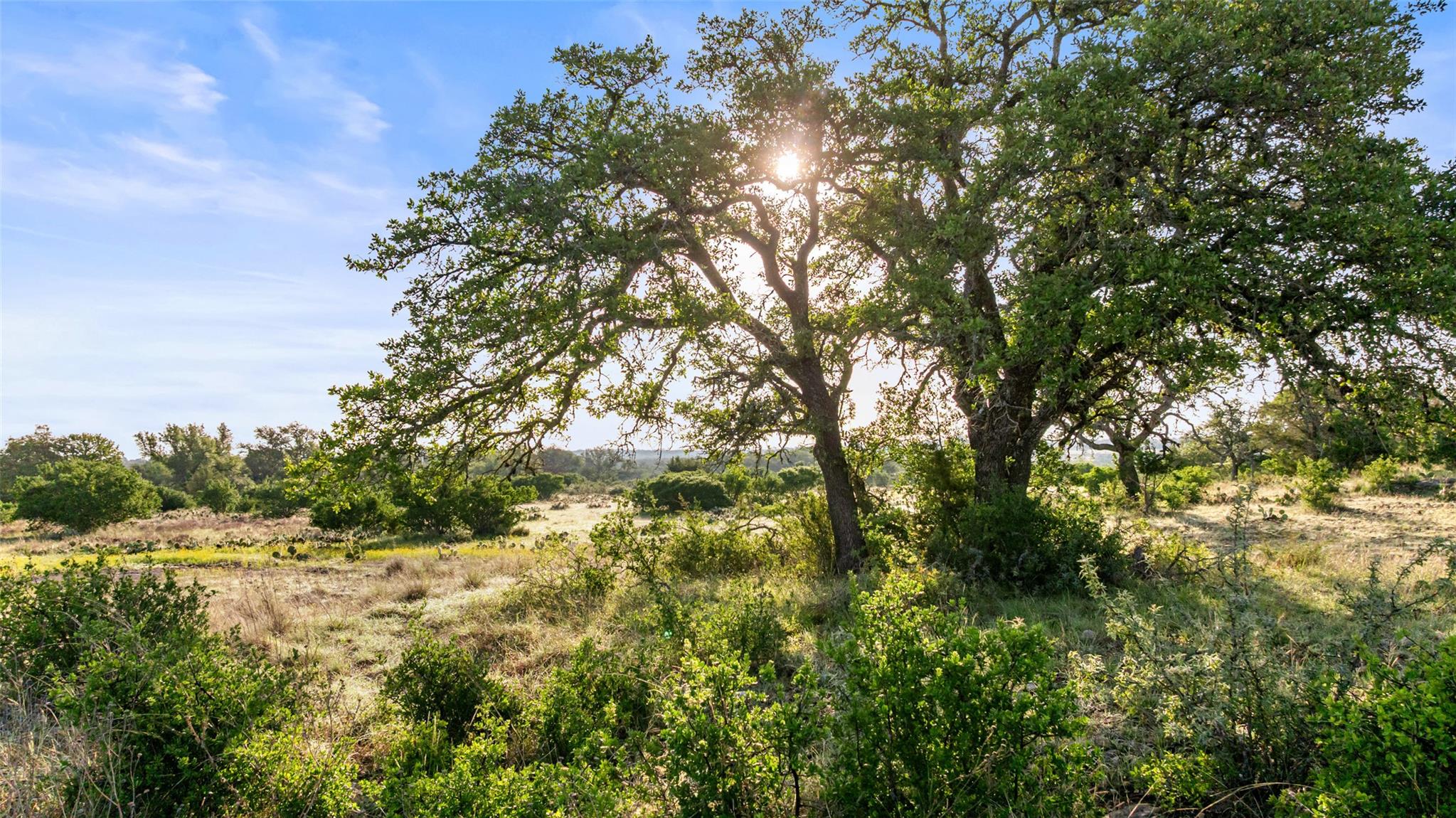 Lot 3 & 4 Vista Ridge DR