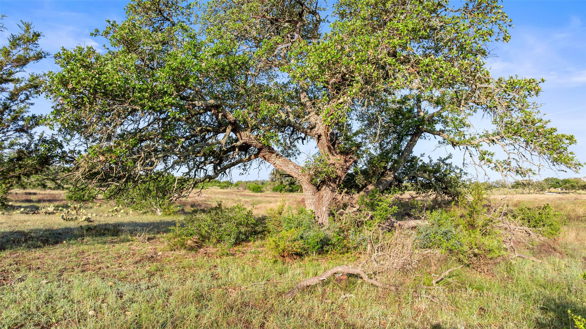 Lot 3 & 4 Vista Ridge DR