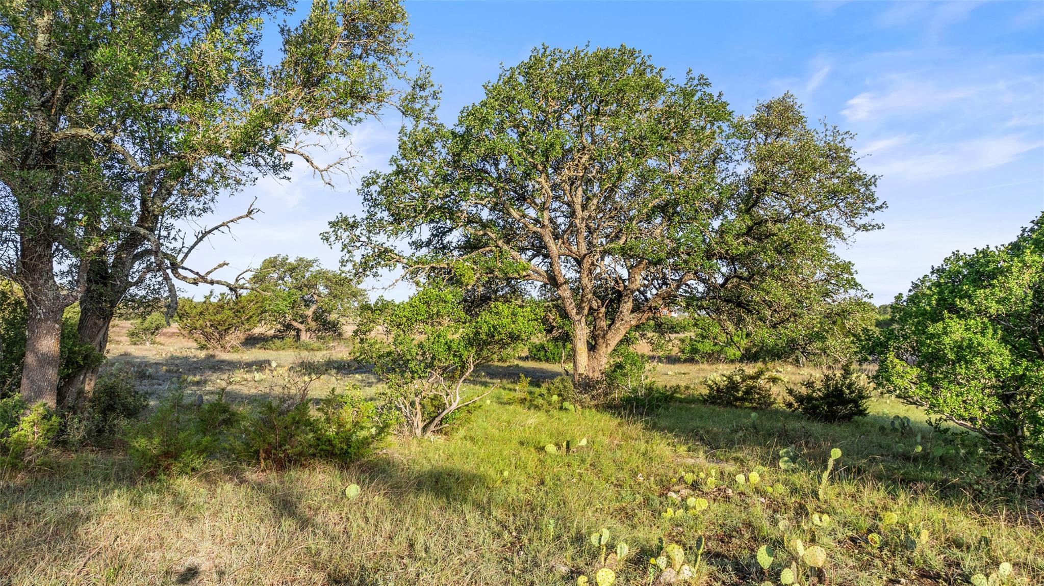 Lot 3 & 4 Vista Ridge DR