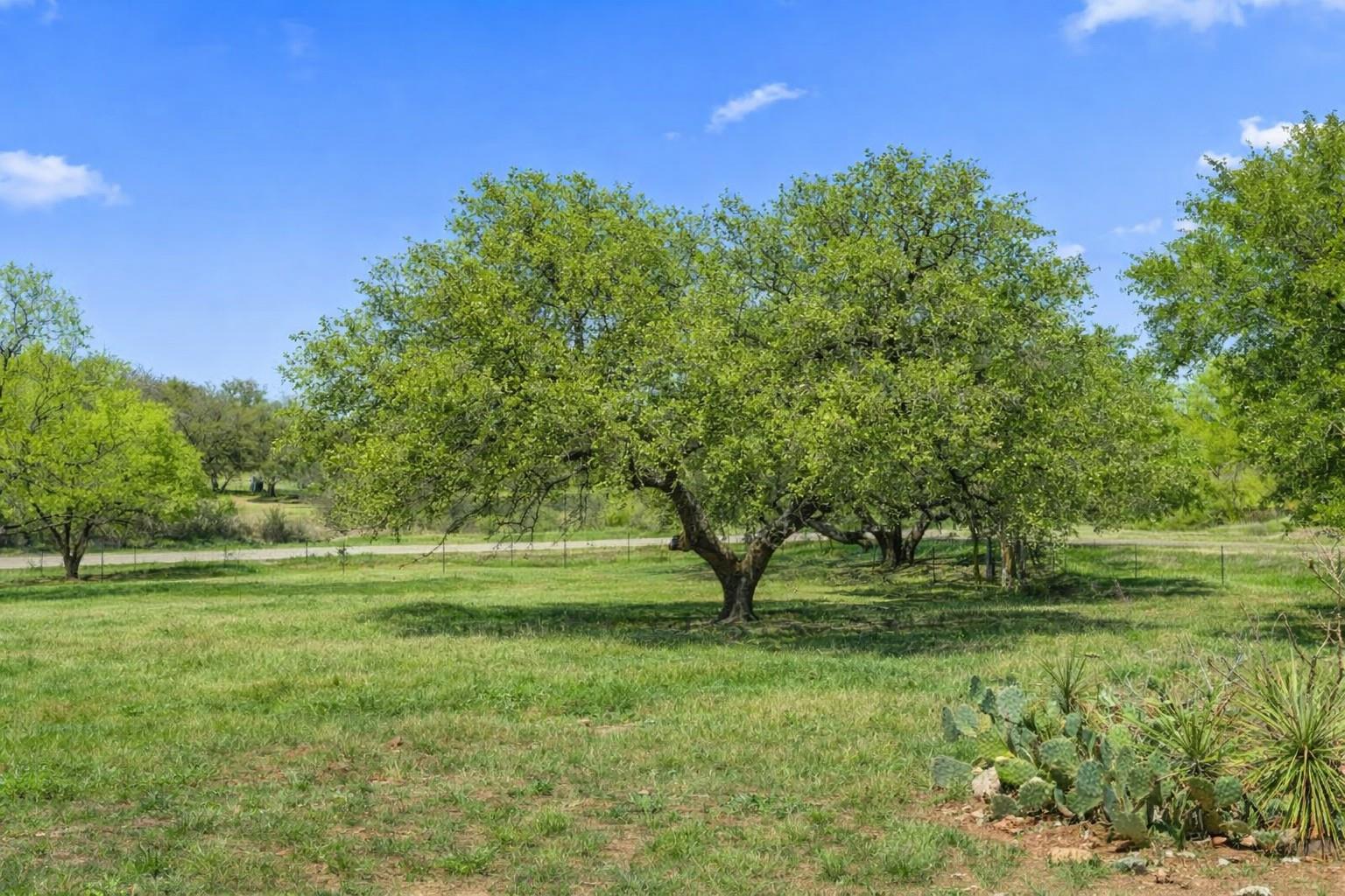 3410 W Ranch Road 152