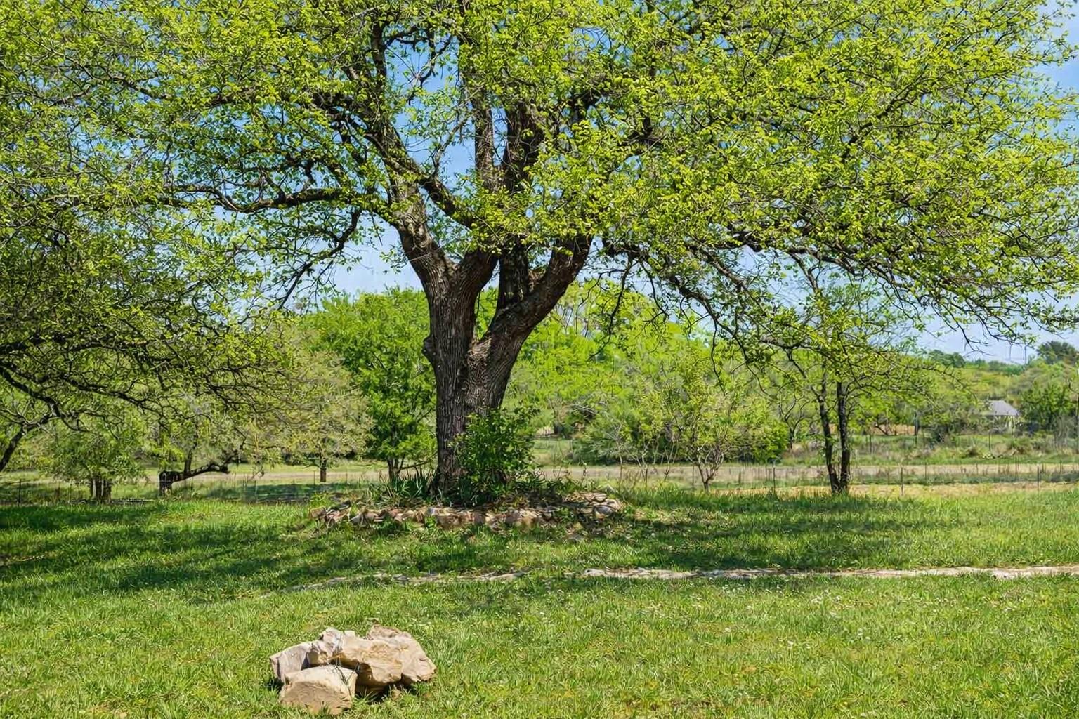 3410 W Ranch Road 152