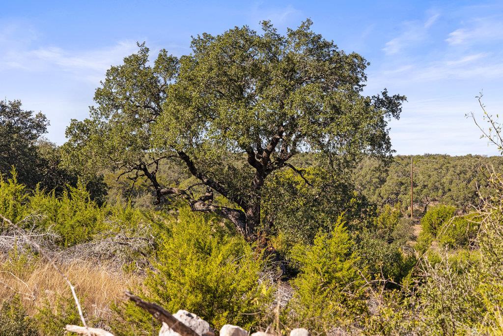 TBD Lyda Ranch RD