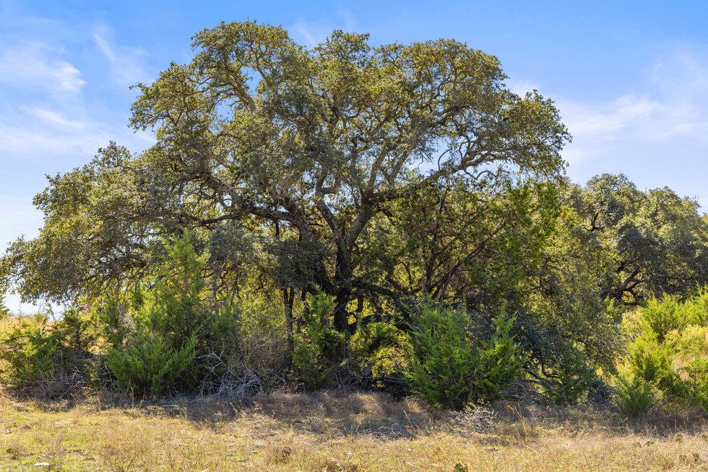 TBD Lyda Ranch RD