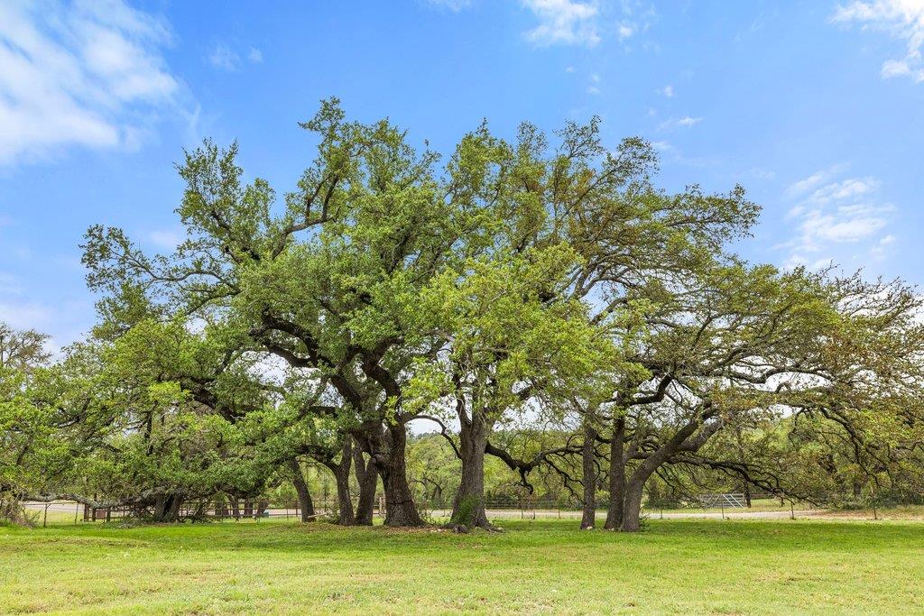 3657 Ranch Road 3232