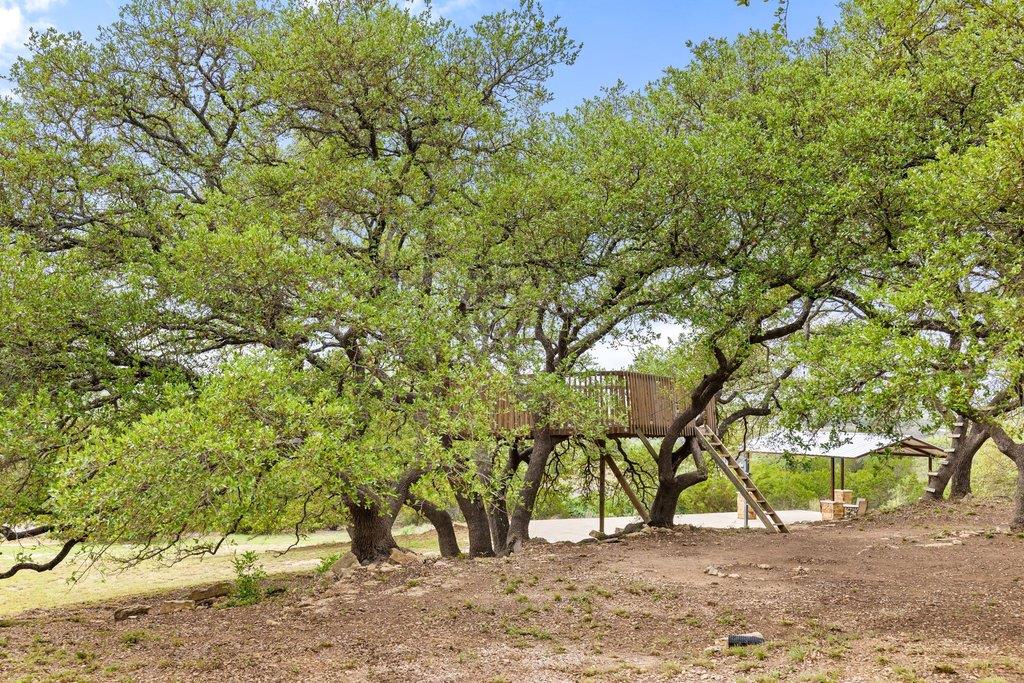 3657 Ranch Road 3232