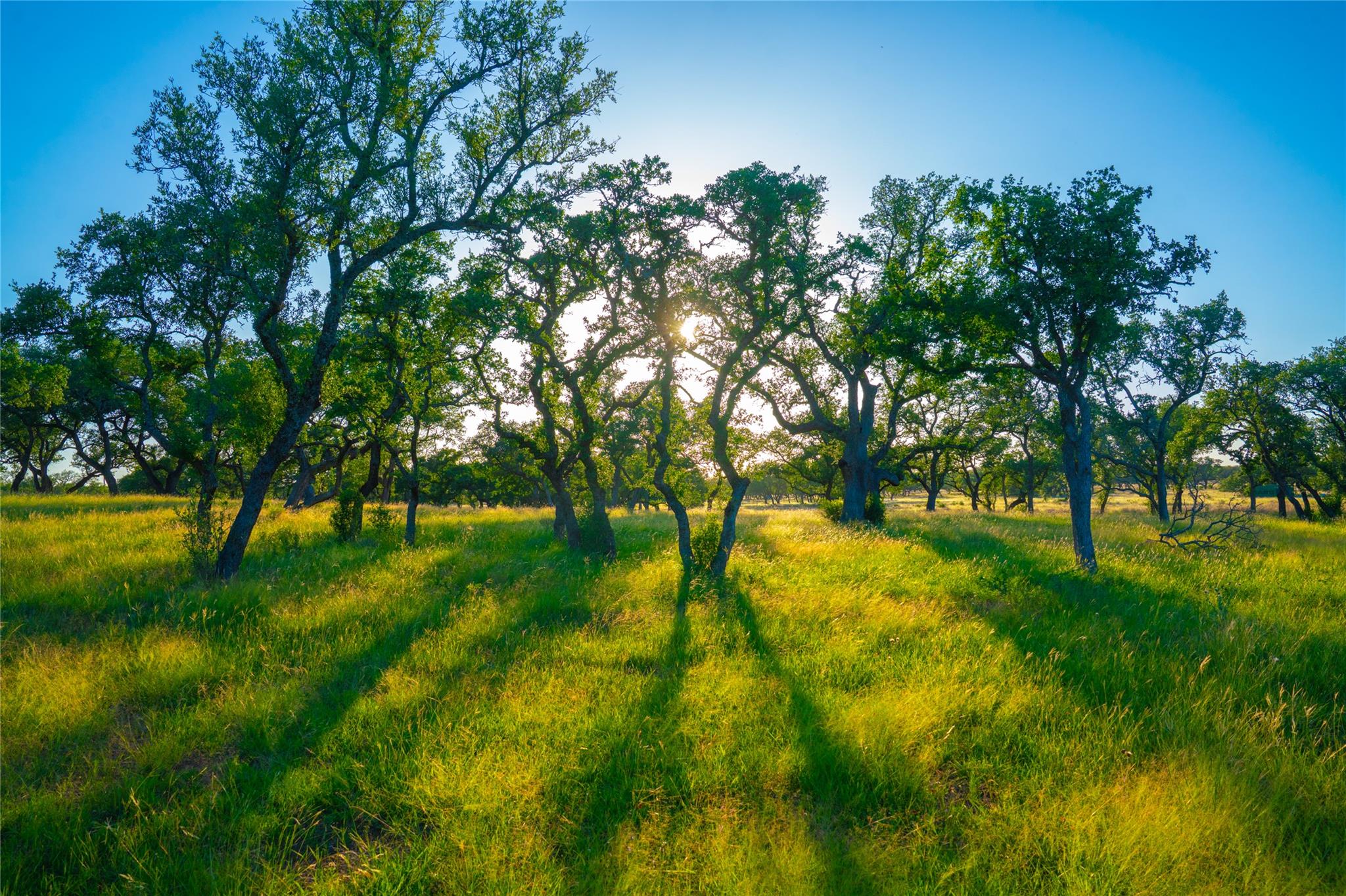 0 Bountiful Oaks Ranch