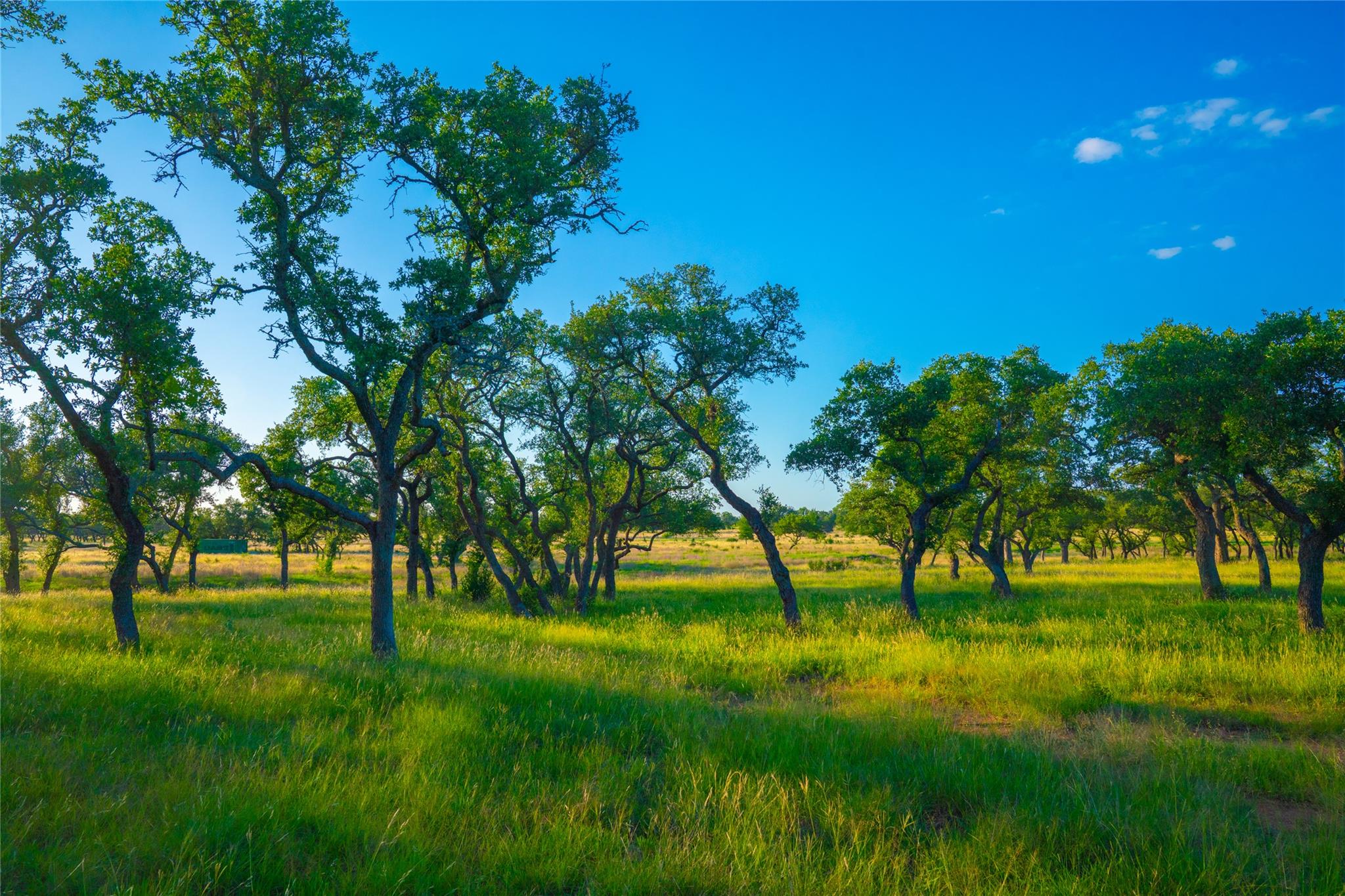0 Bountiful Oaks Ranch
