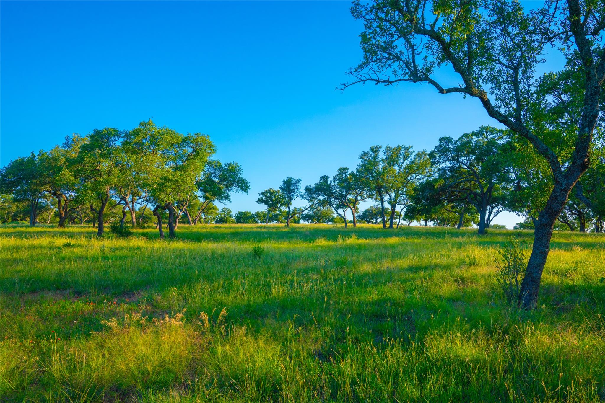 0 Bountiful Oaks Ranch