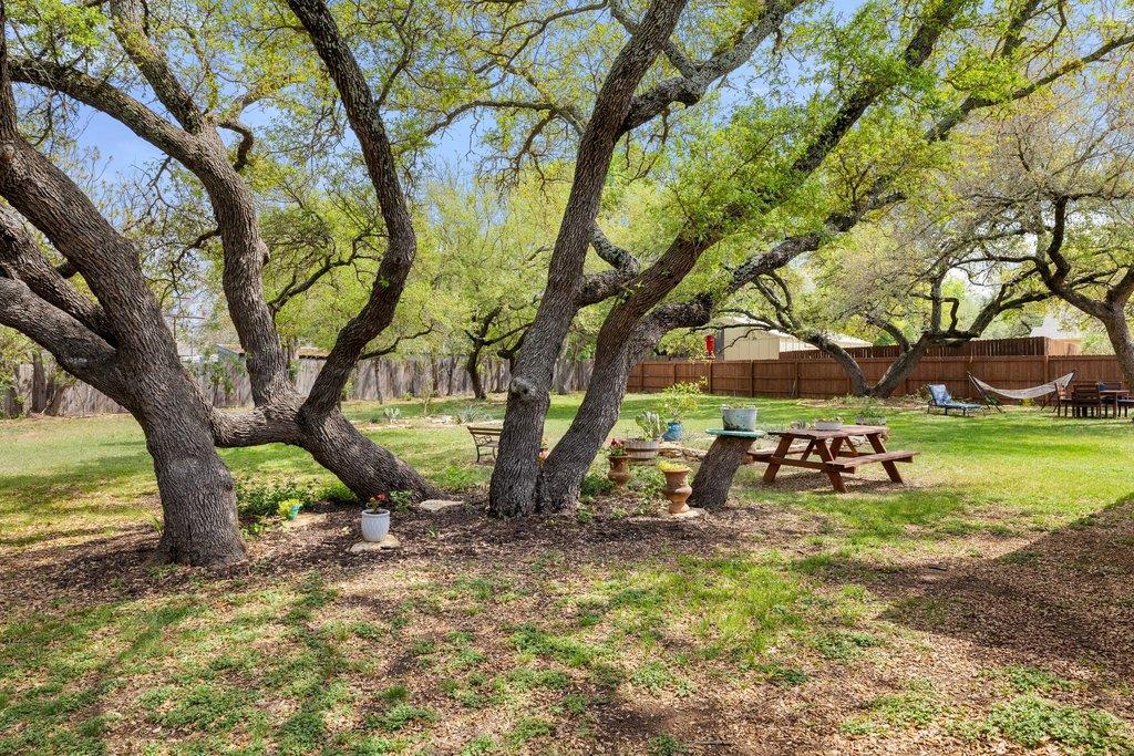 103 Leaning Oak CIR