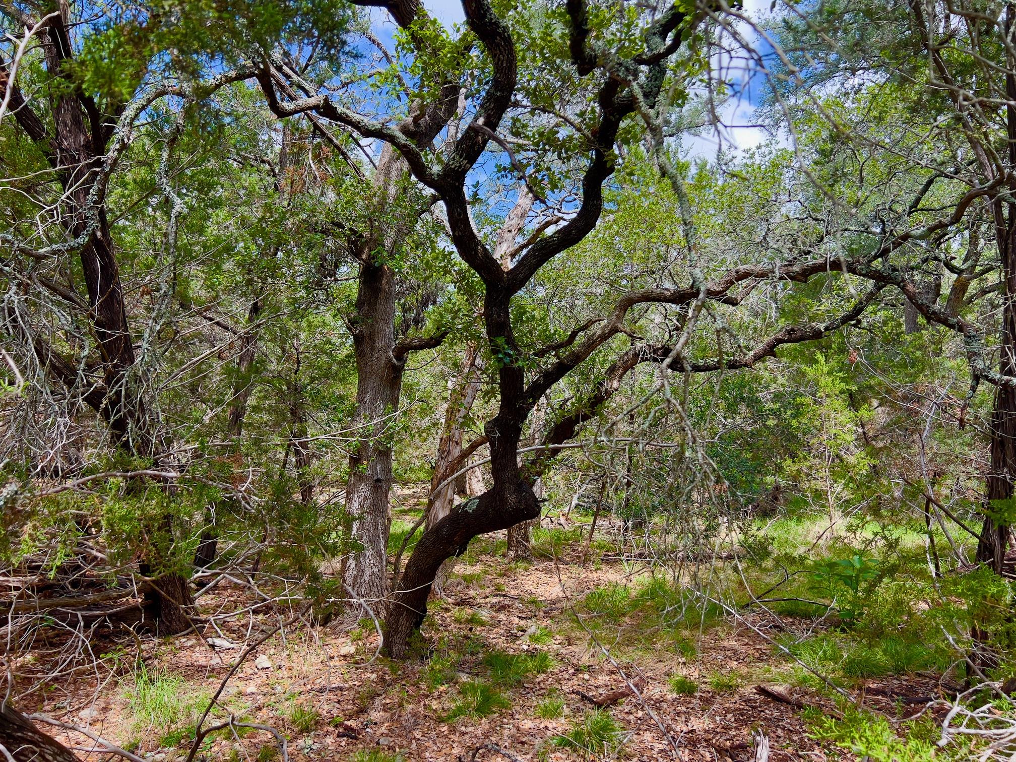 Lot 43-A Narrows RD # 1