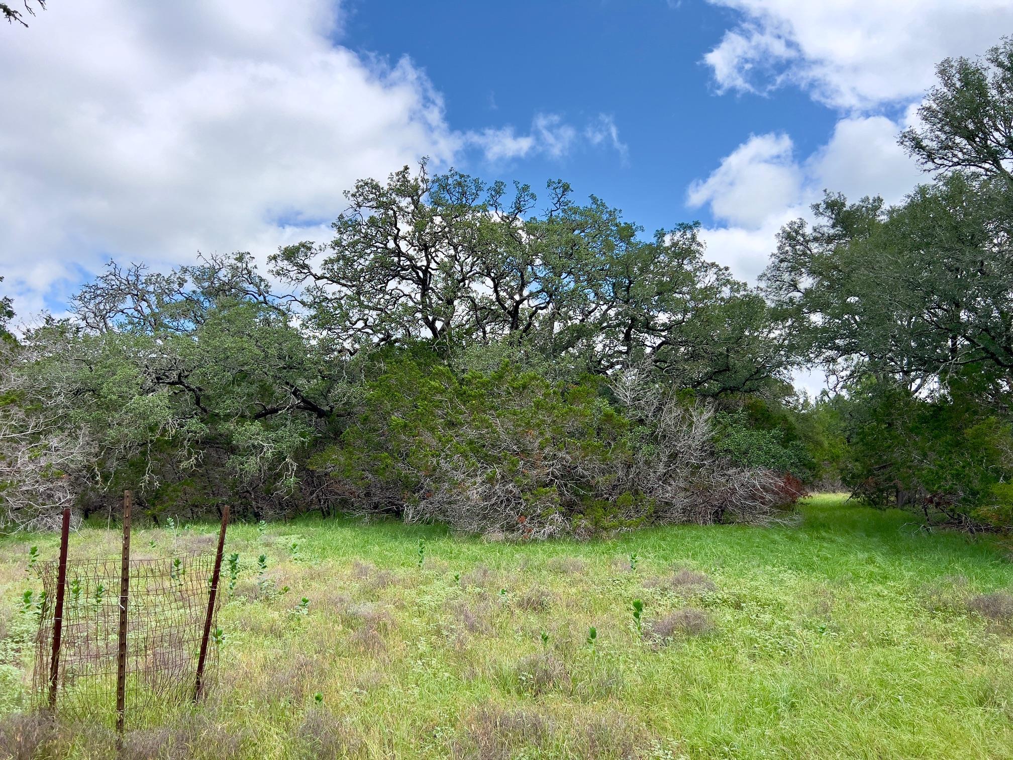 Lot 43-A Narrows RD # 1