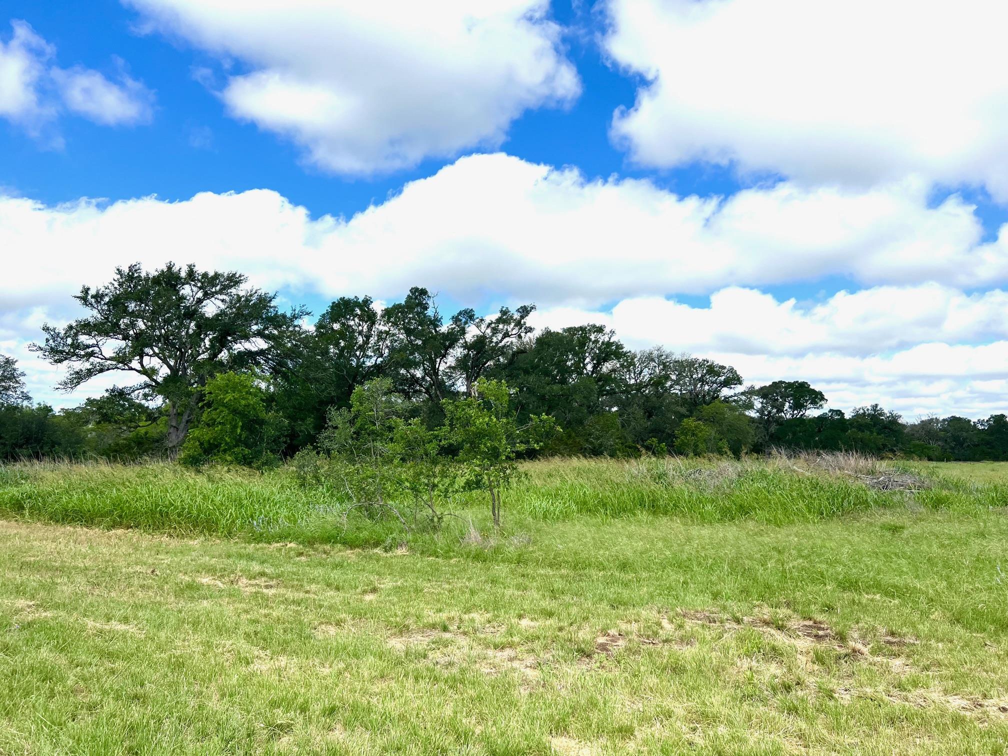 Lot 43-A Narrows RD # 1