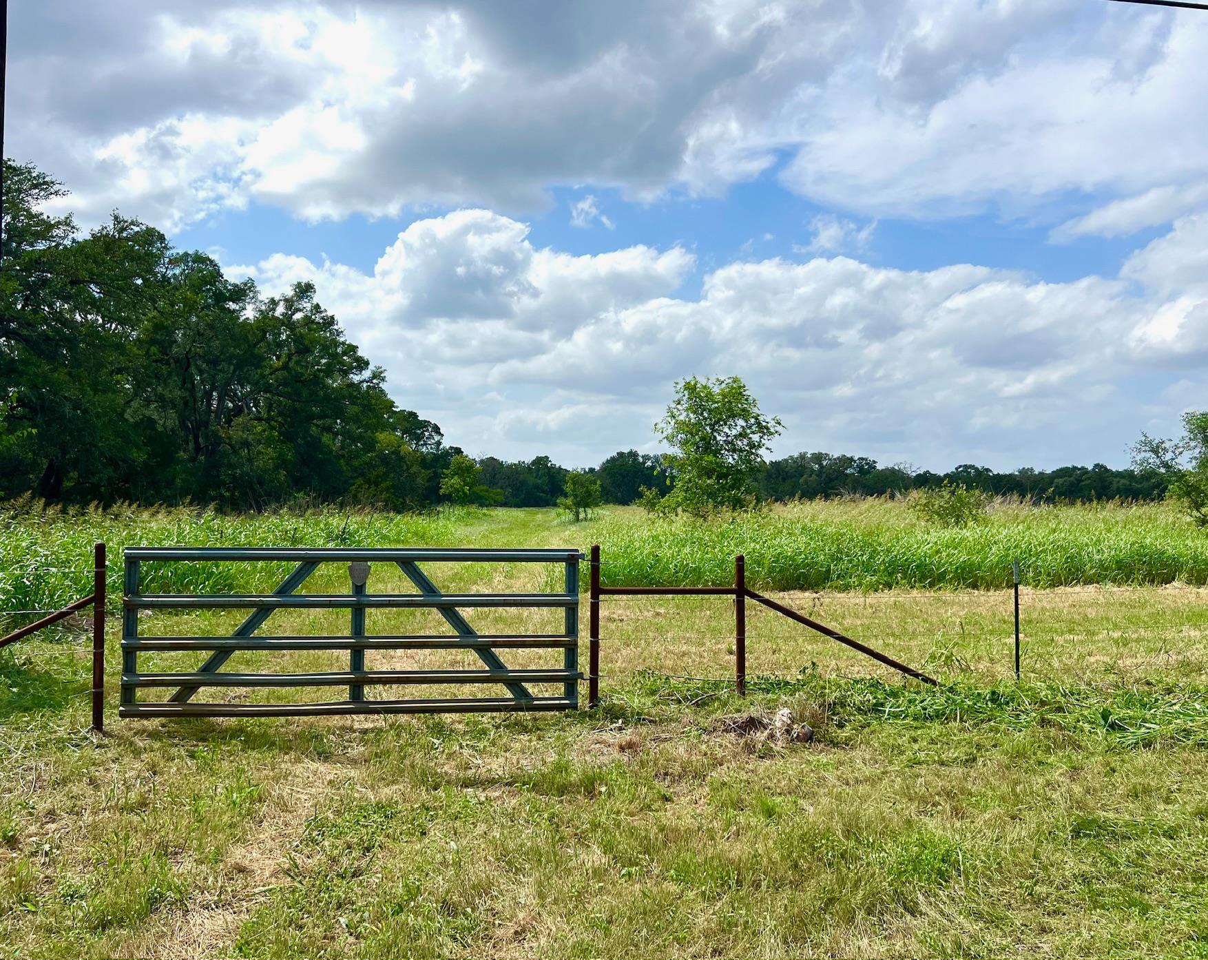 Lot 43-A Narrows RD # 1