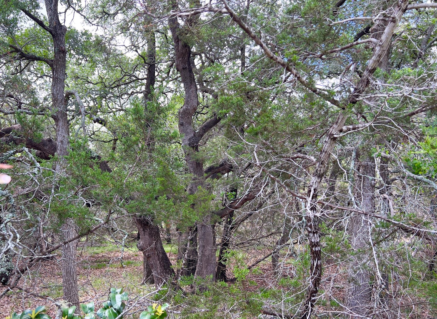 Lot 43-A Narrows RD # 1