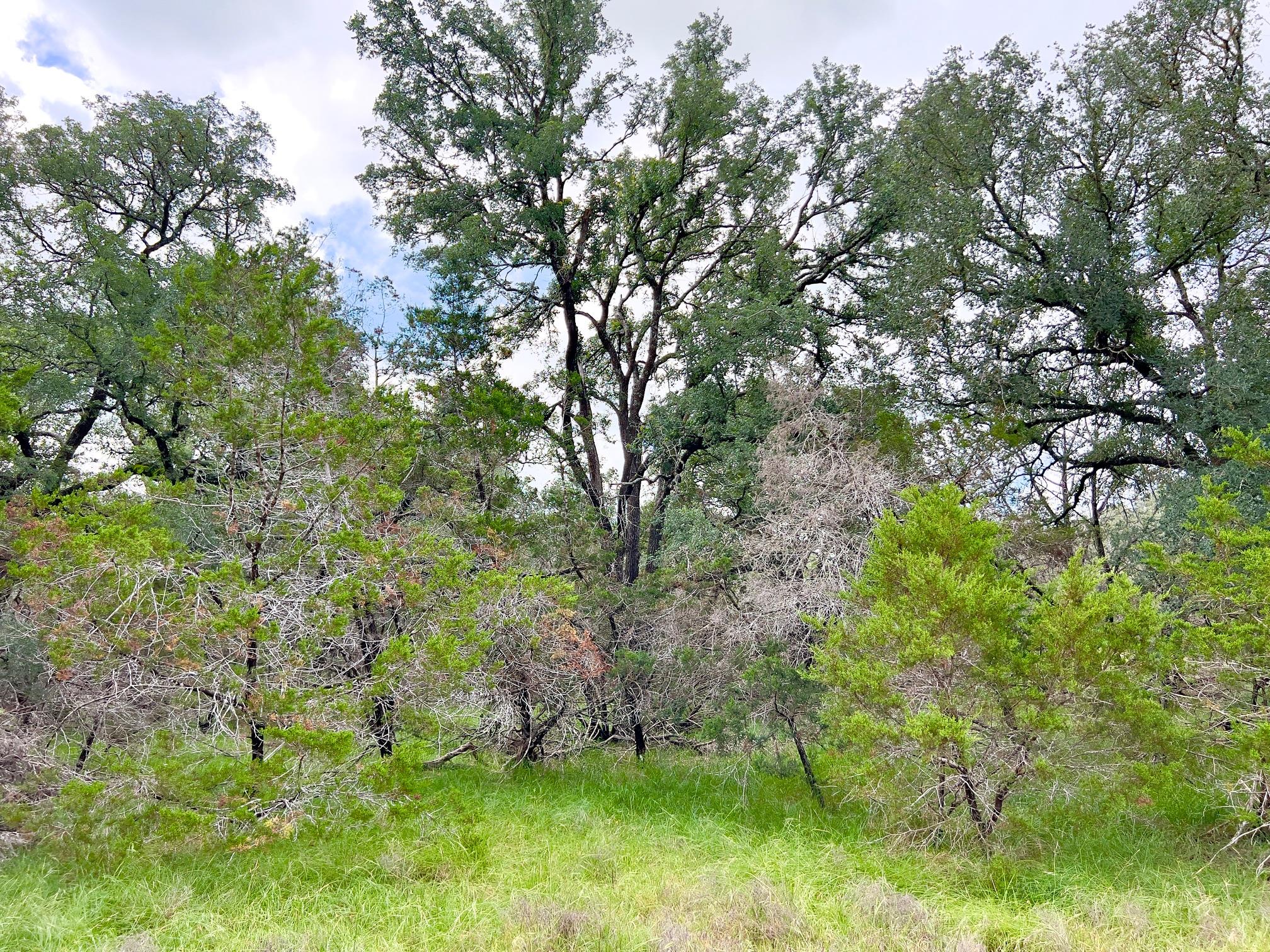 Lot 43-A Narrows RD # 1