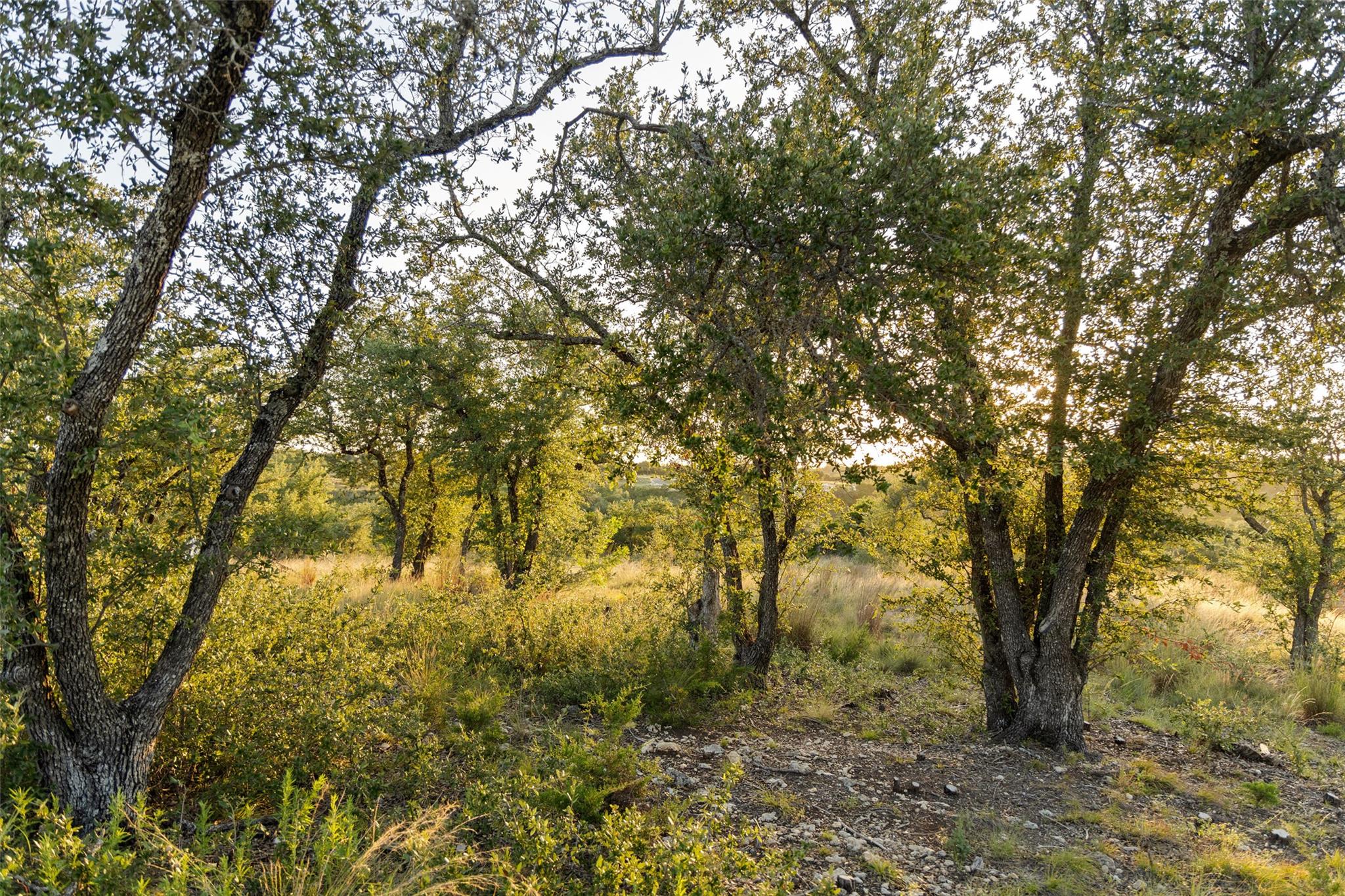 Lot 68 W Leaning Madrone DR