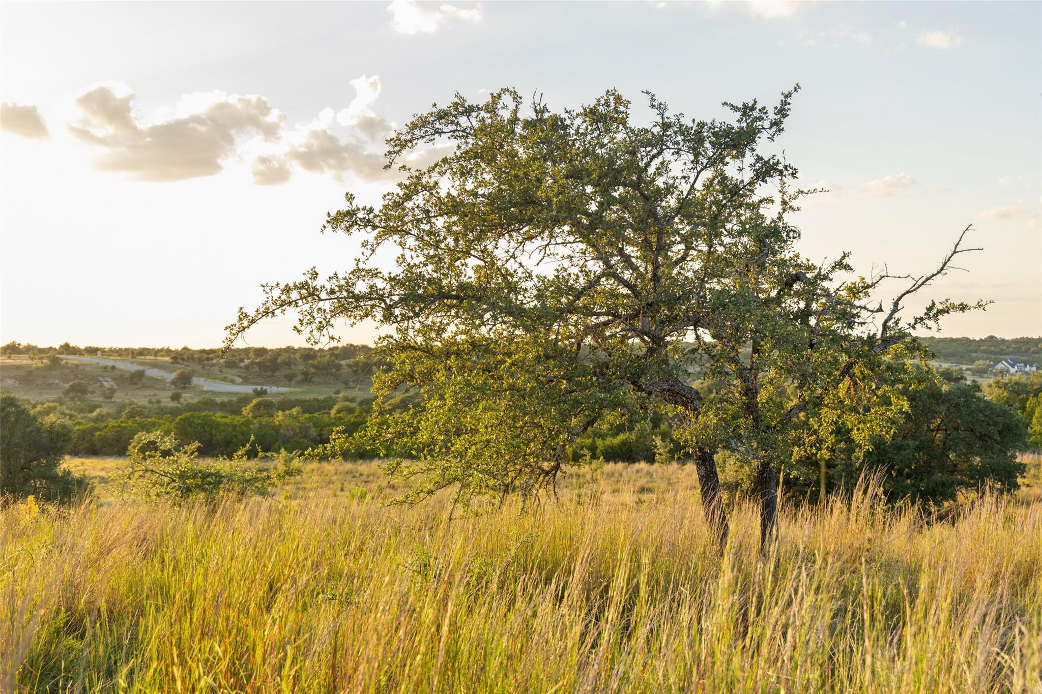 Lot 68 W Leaning Madrone DR