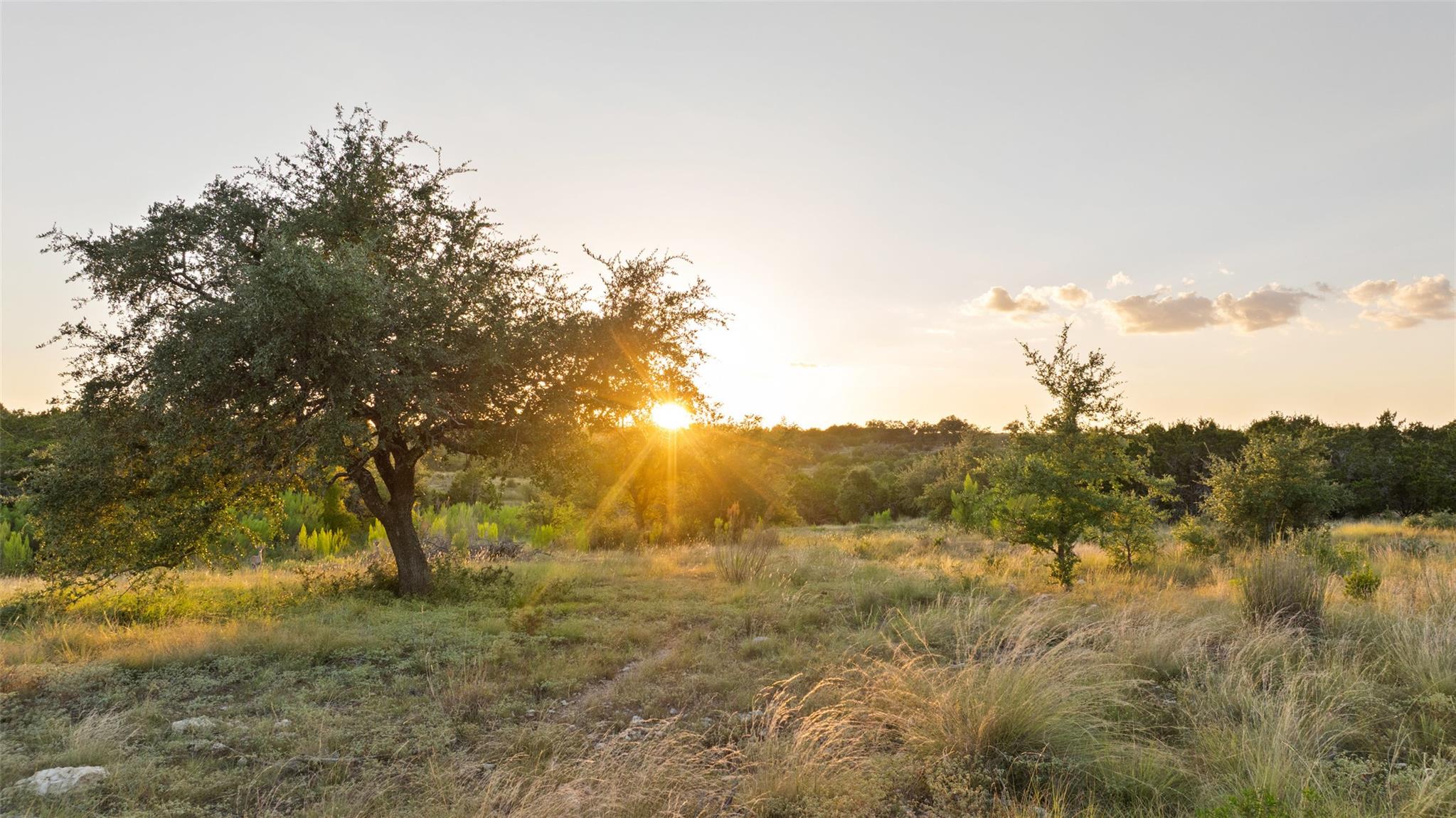 Lot 68 W Leaning Madrone DR