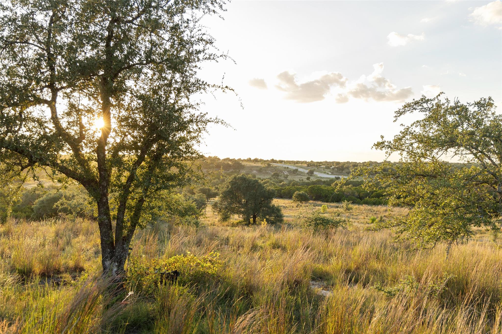 Lot 68 W Leaning Madrone DR