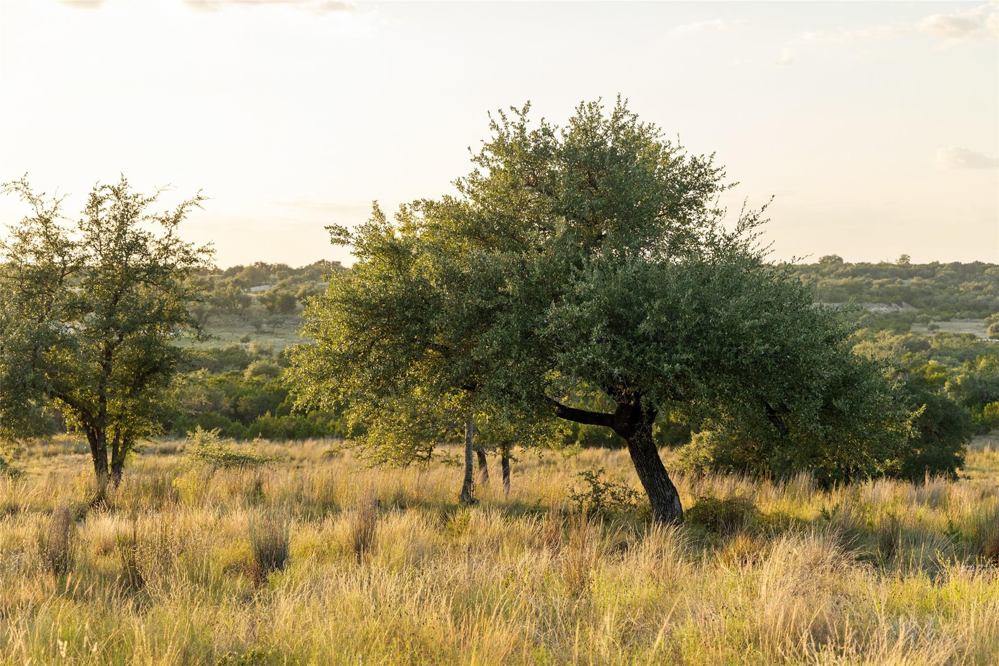 Lot 68 W Leaning Madrone DR