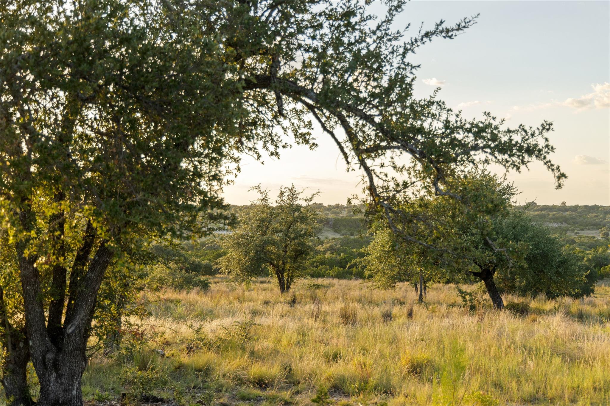 Lot 68 W Leaning Madrone DR