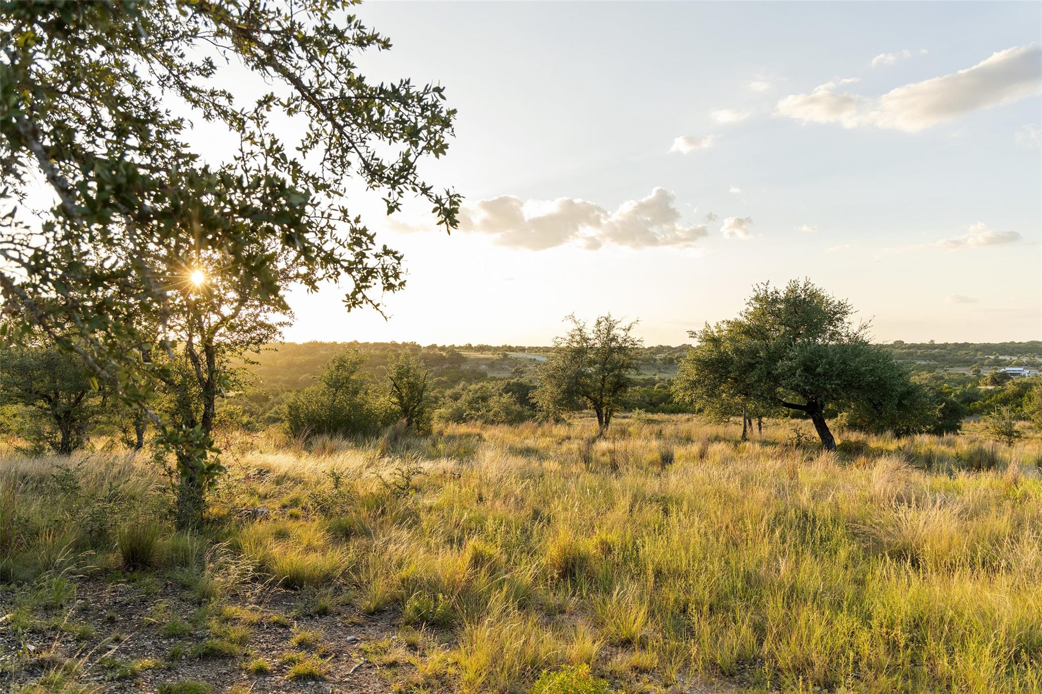 Lot 68 W Leaning Madrone DR