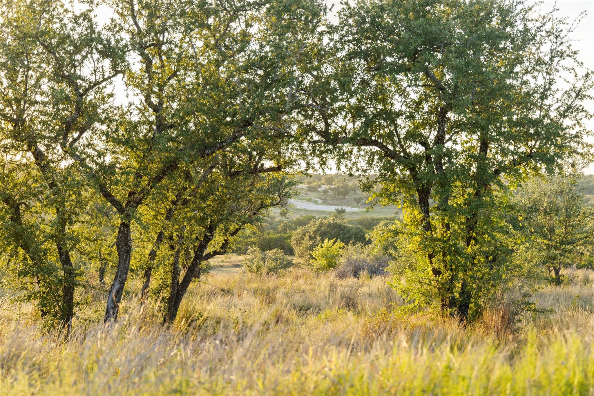 Lot 68 W Leaning Madrone DR