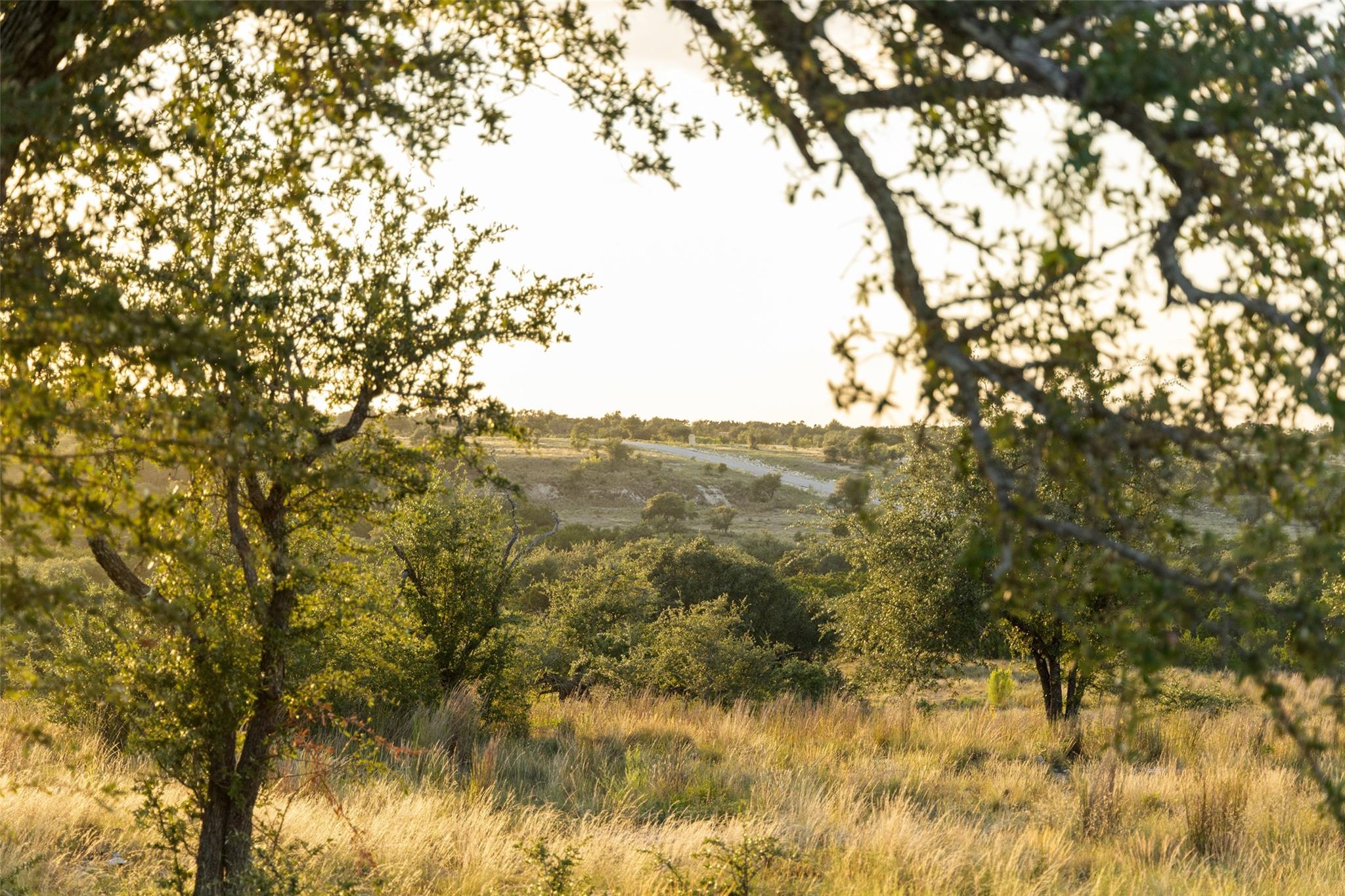 Lot 68 W Leaning Madrone DR