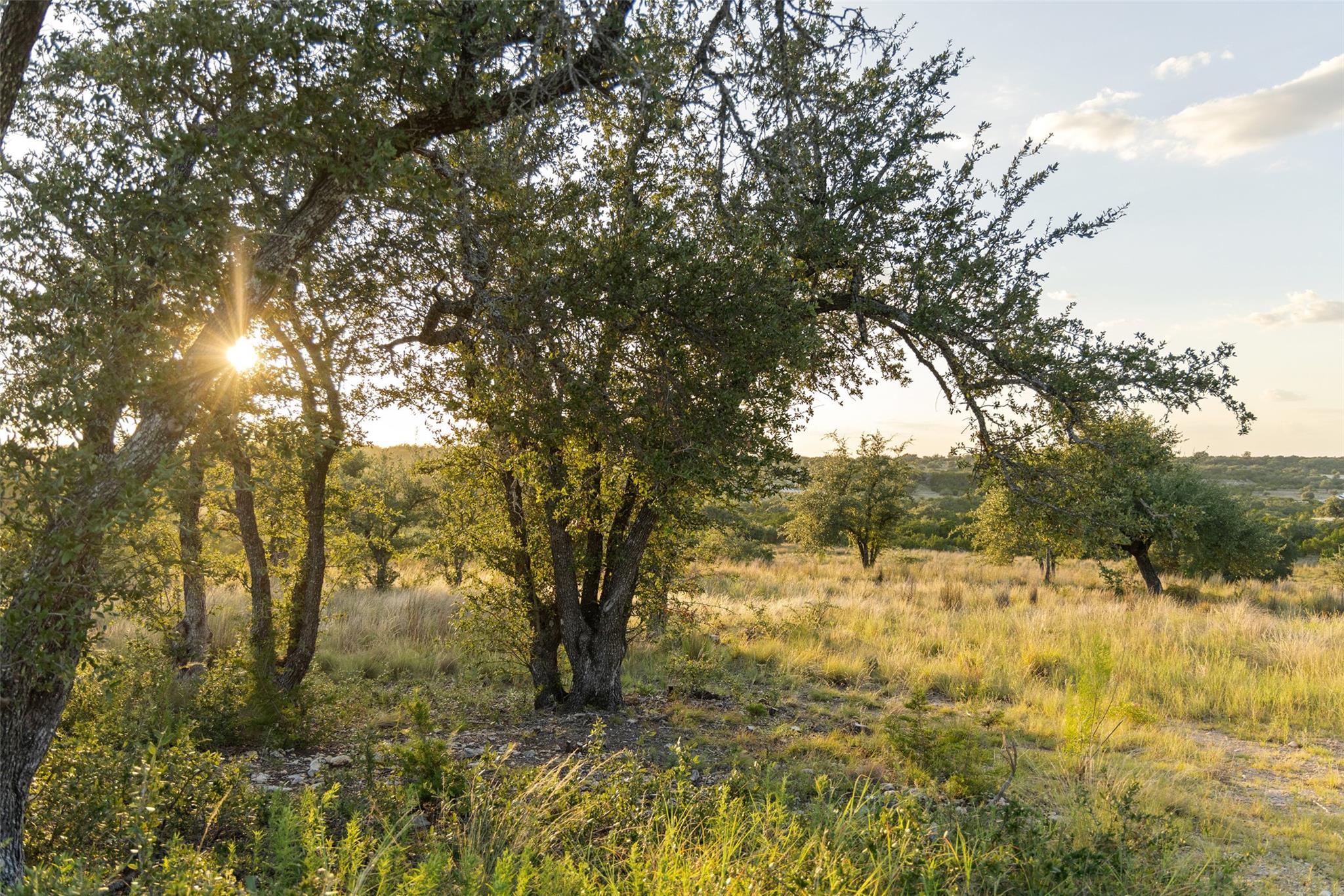 Lot 68 W Leaning Madrone DR