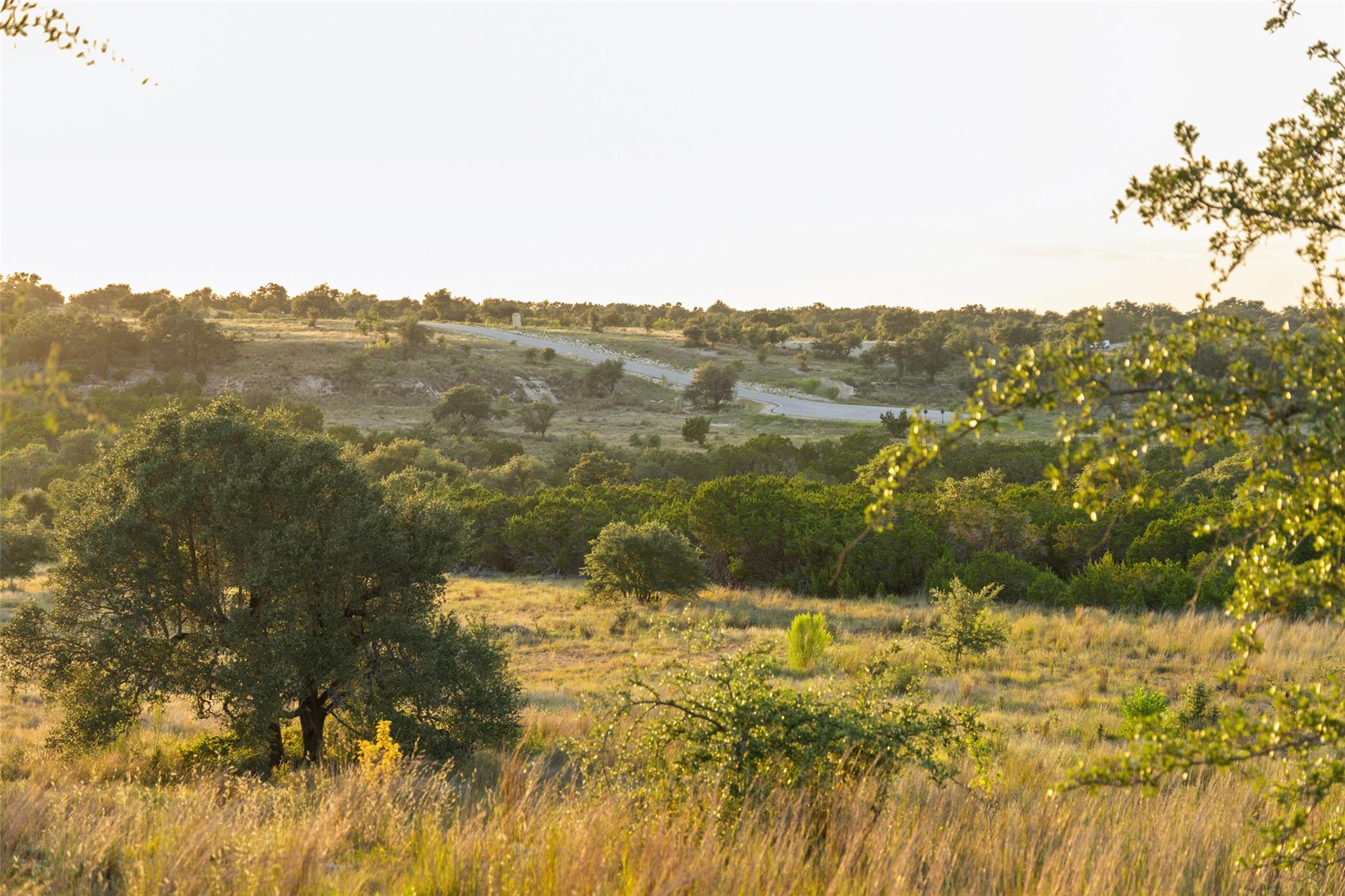 Lot 68 W Leaning Madrone DR