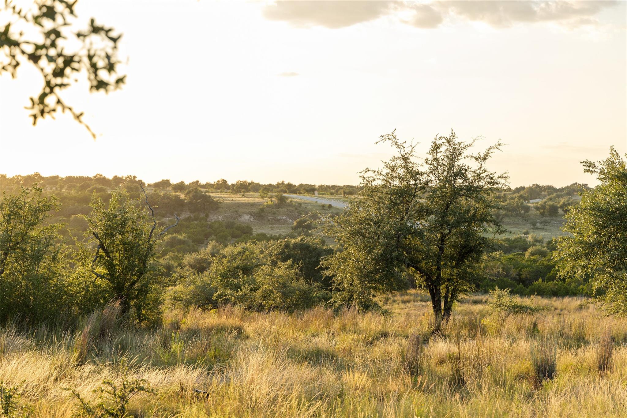 Lot 68 W Leaning Madrone DR