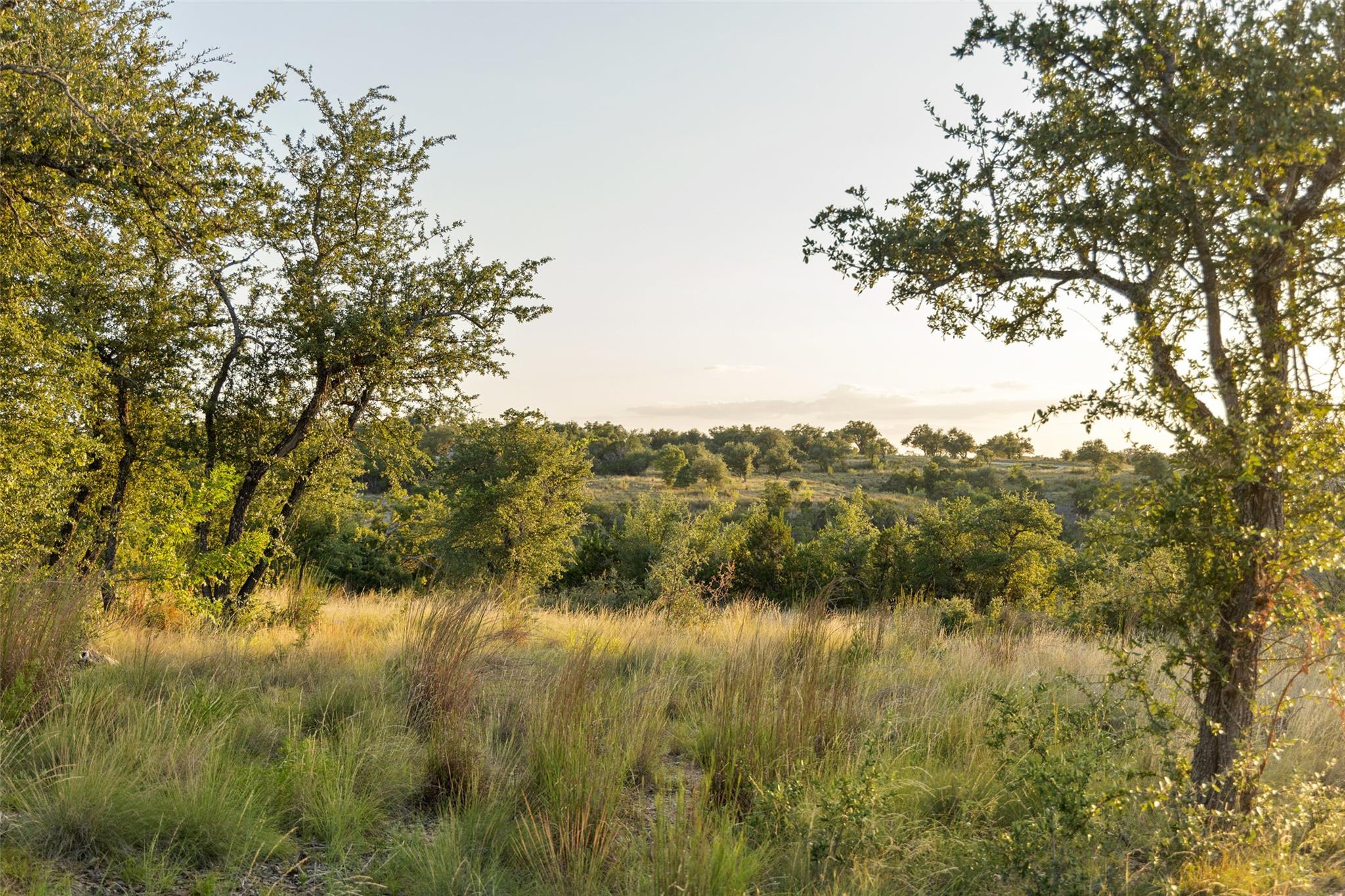 Lot 68 W Leaning Madrone DR