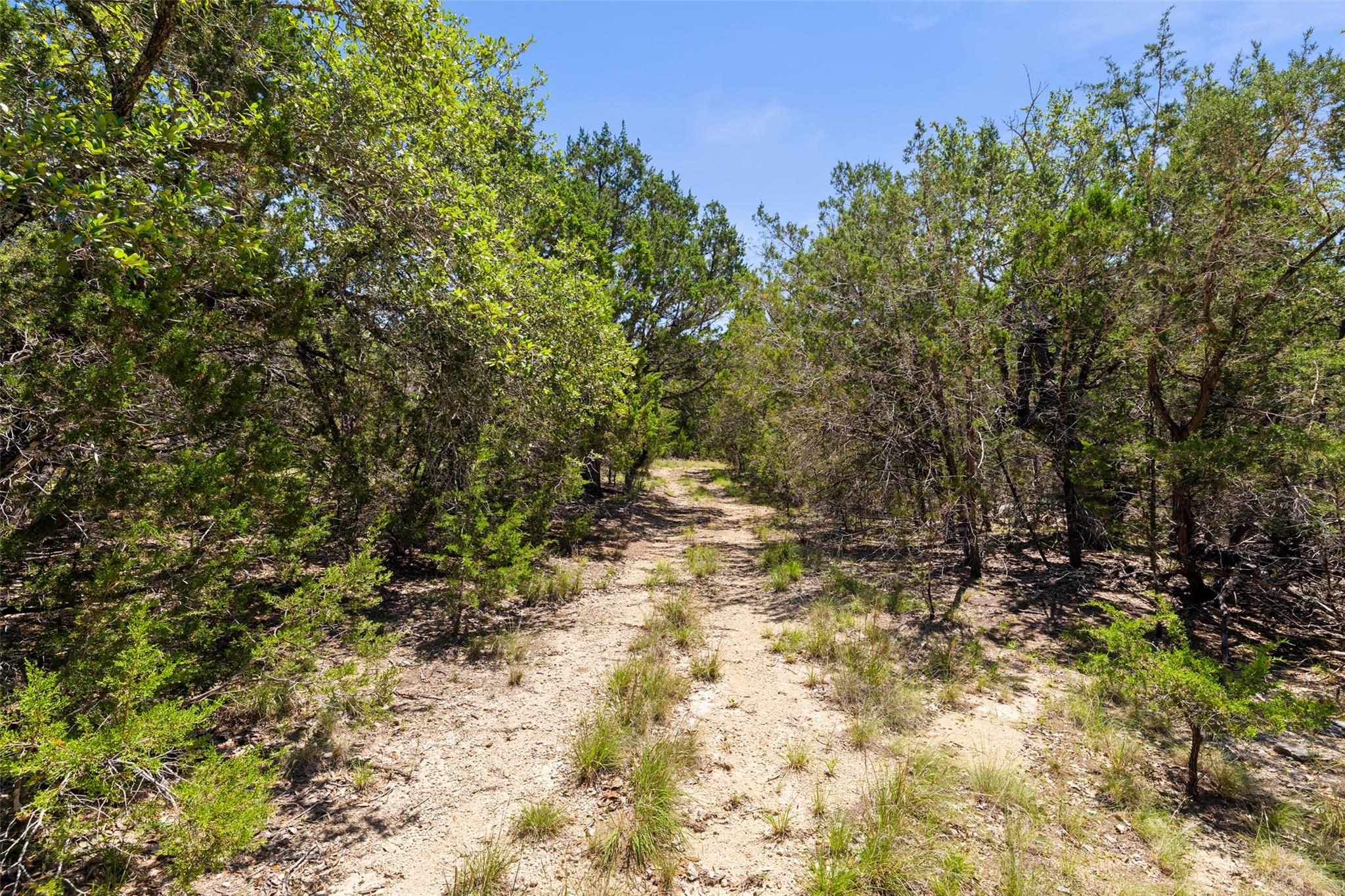 937 Flat Creek RD