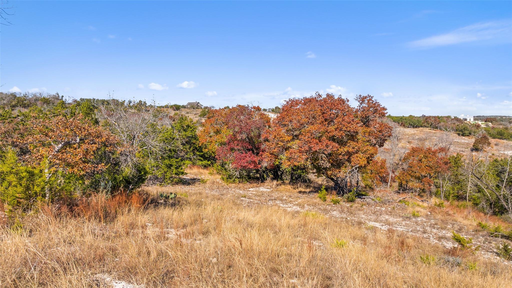 271 S Cielo Vista CT